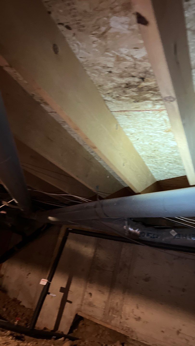 Mold Damage by Accountable Home Services