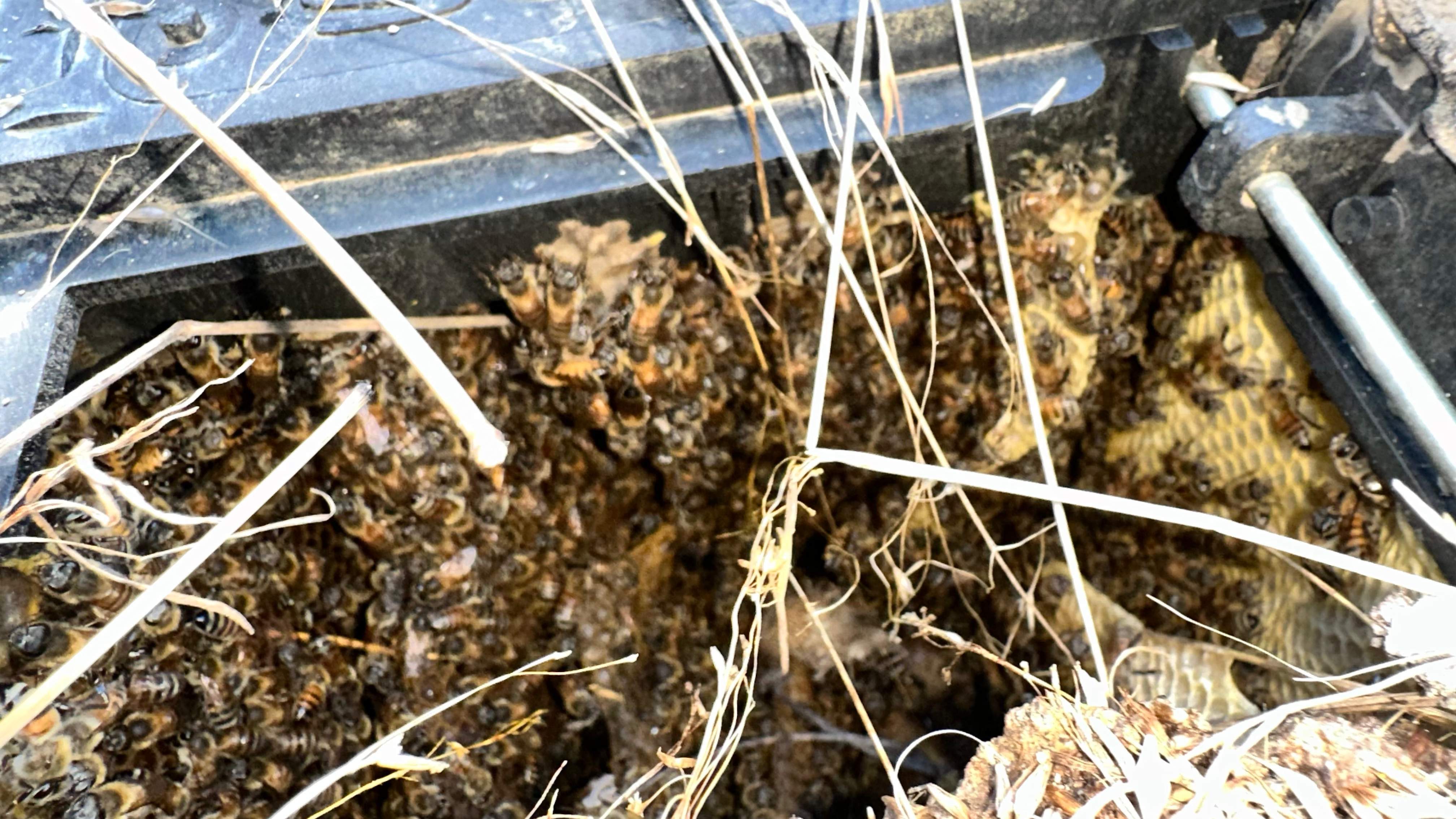 Well Meter by Rockwall Honey Bee Company