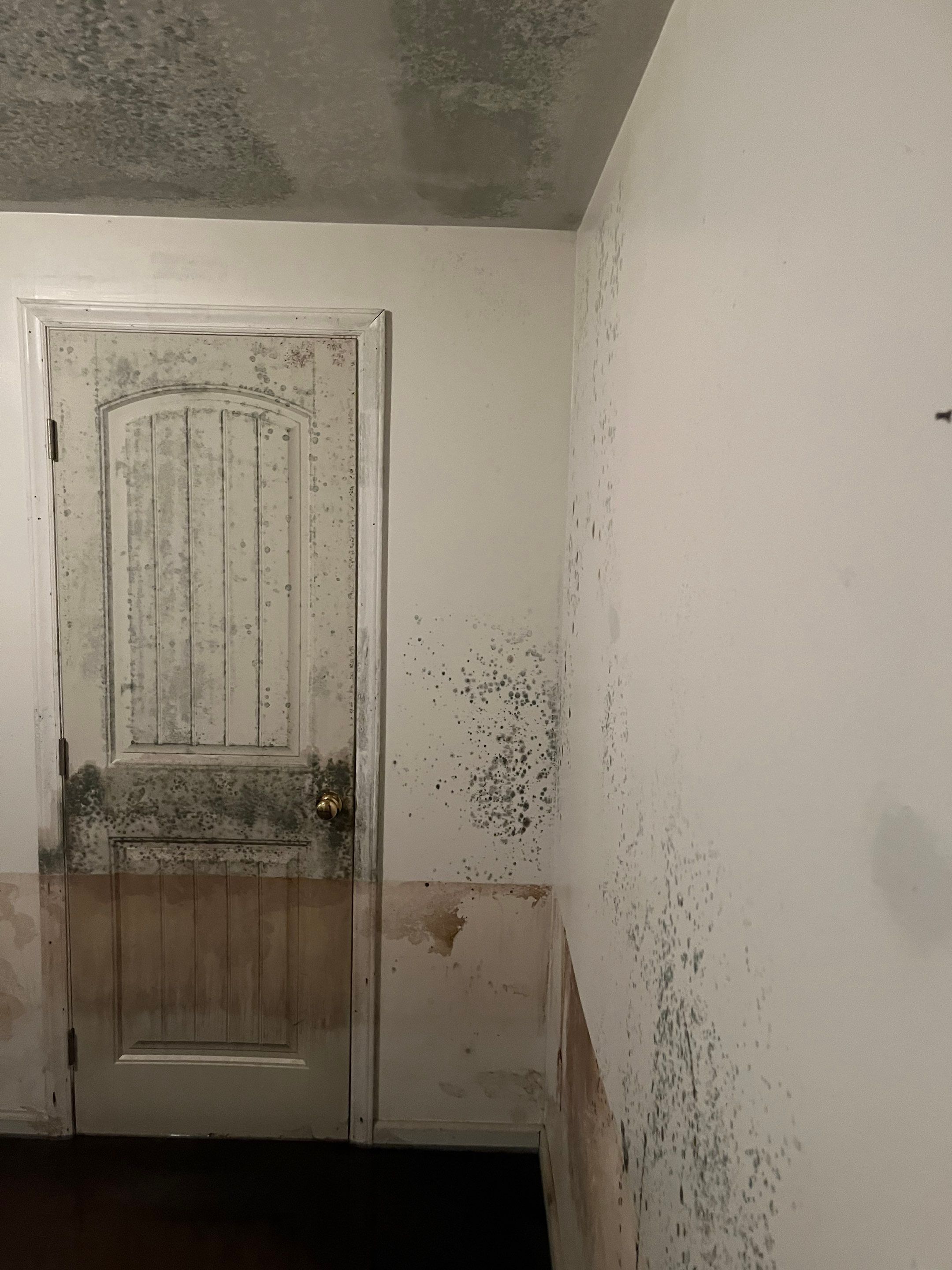 EMS Water Damage and Mold Remediation in Louisville, KY by ANR Restoration