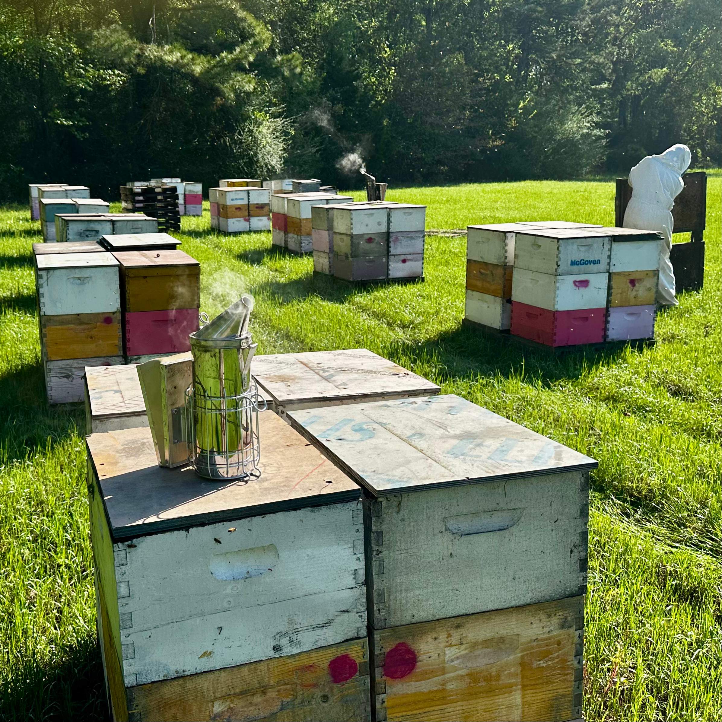 Traylor's Hay Meadow Apiary by Rockwall Honey Bee Company