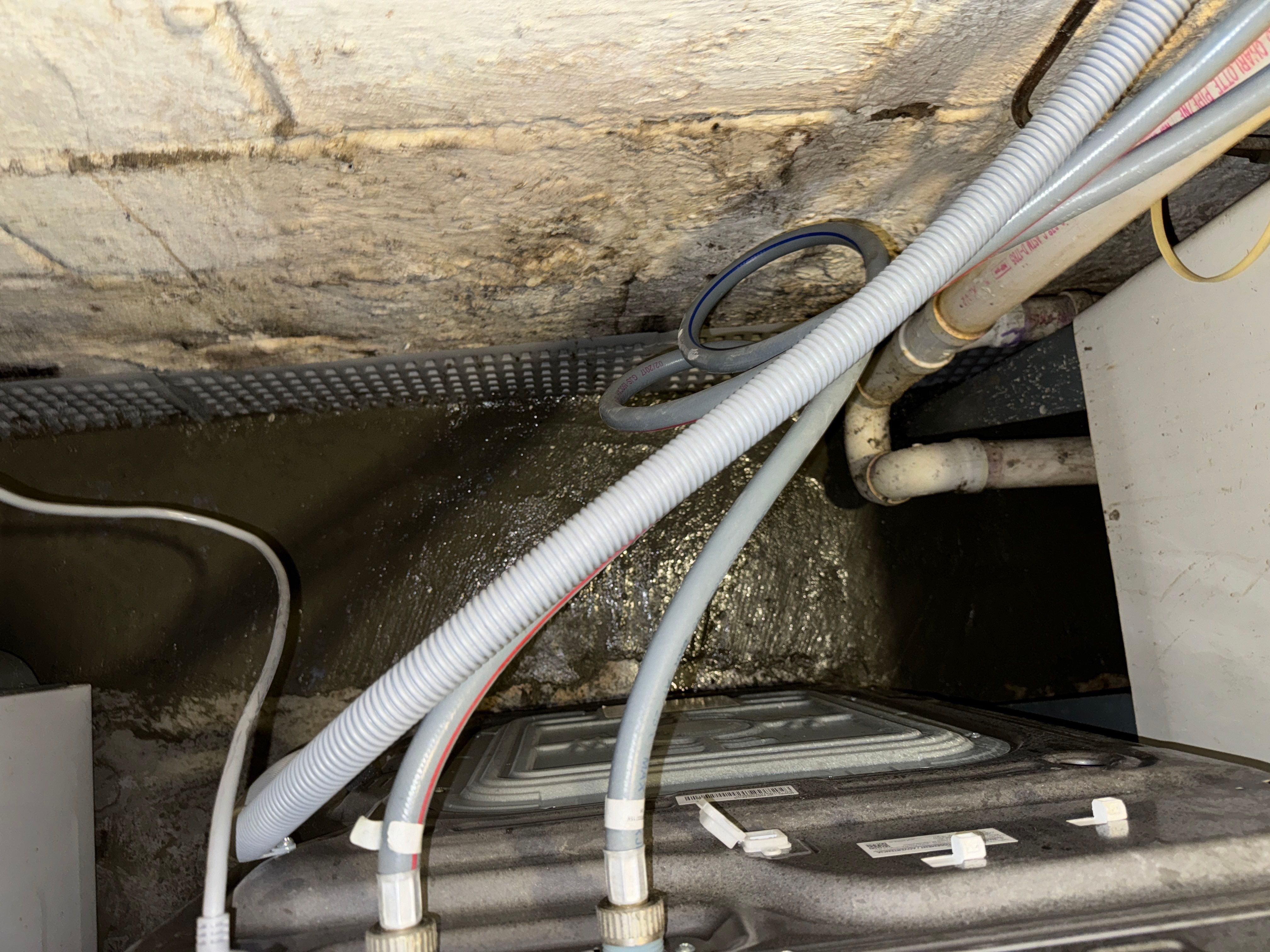 Interior French Drain & Mold Remediation Little Falls NJ by Pure Service Pro, LLC 