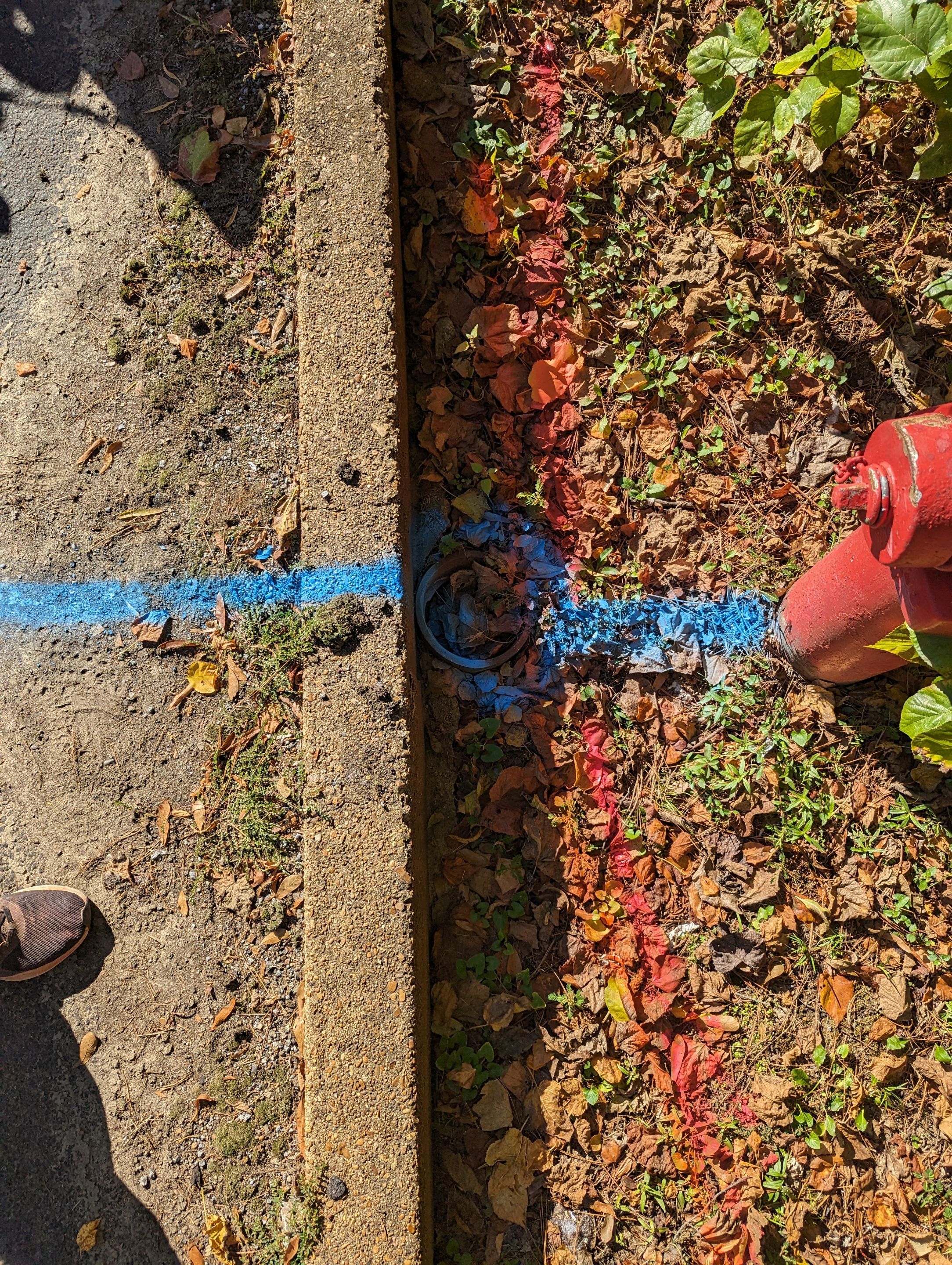 Utility Locating and Verification for Survey Crew by Alsip Locating Service, LLC