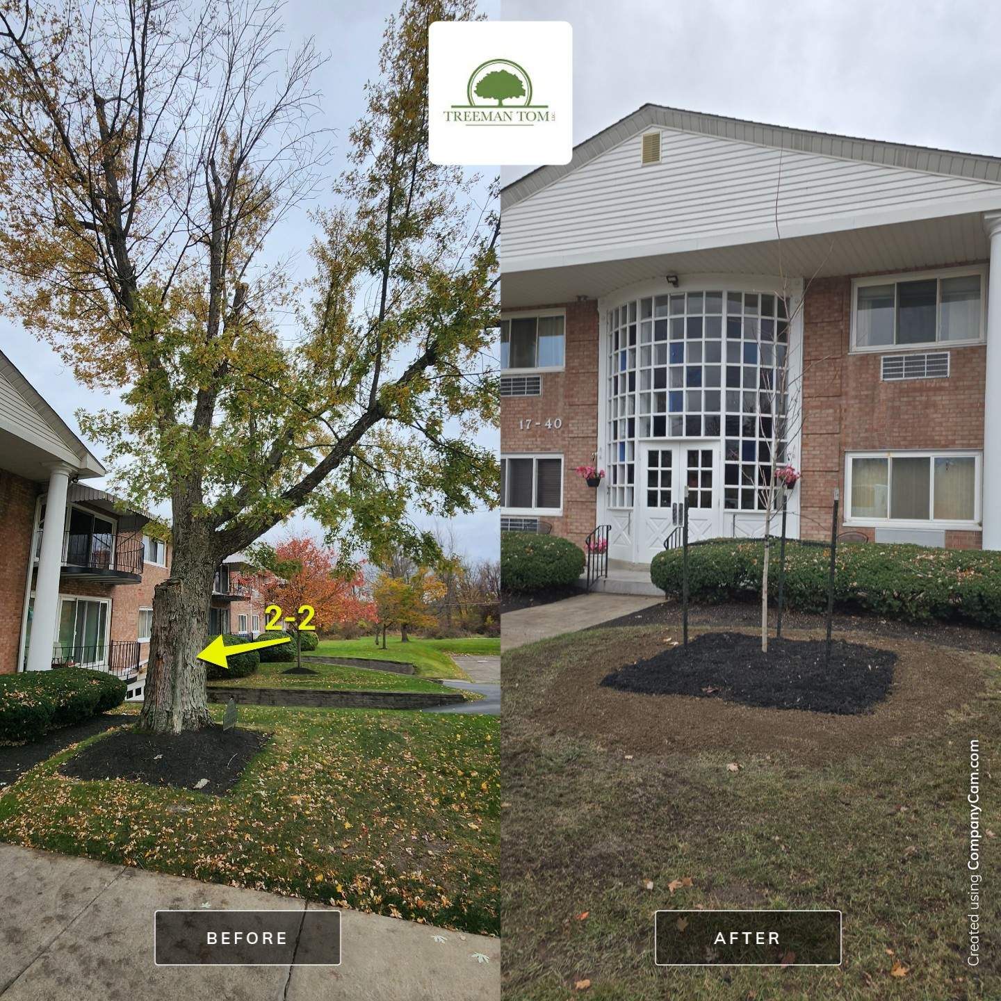 Emergency Job: Removal of Branch by Treeman Tom LLC