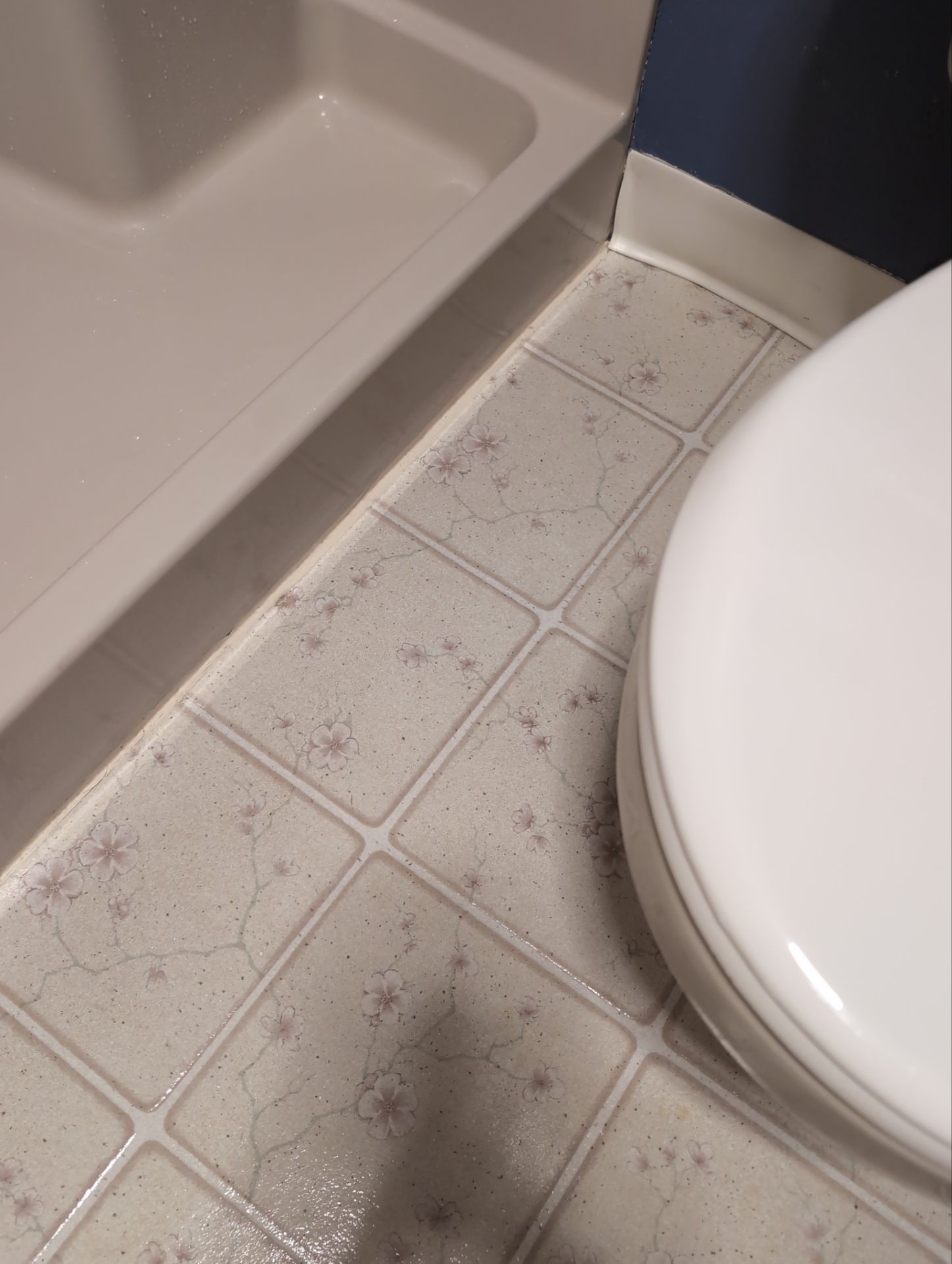 House Cleaning service performed in West Linn by Cloud 9 Professional Cleaning Services
