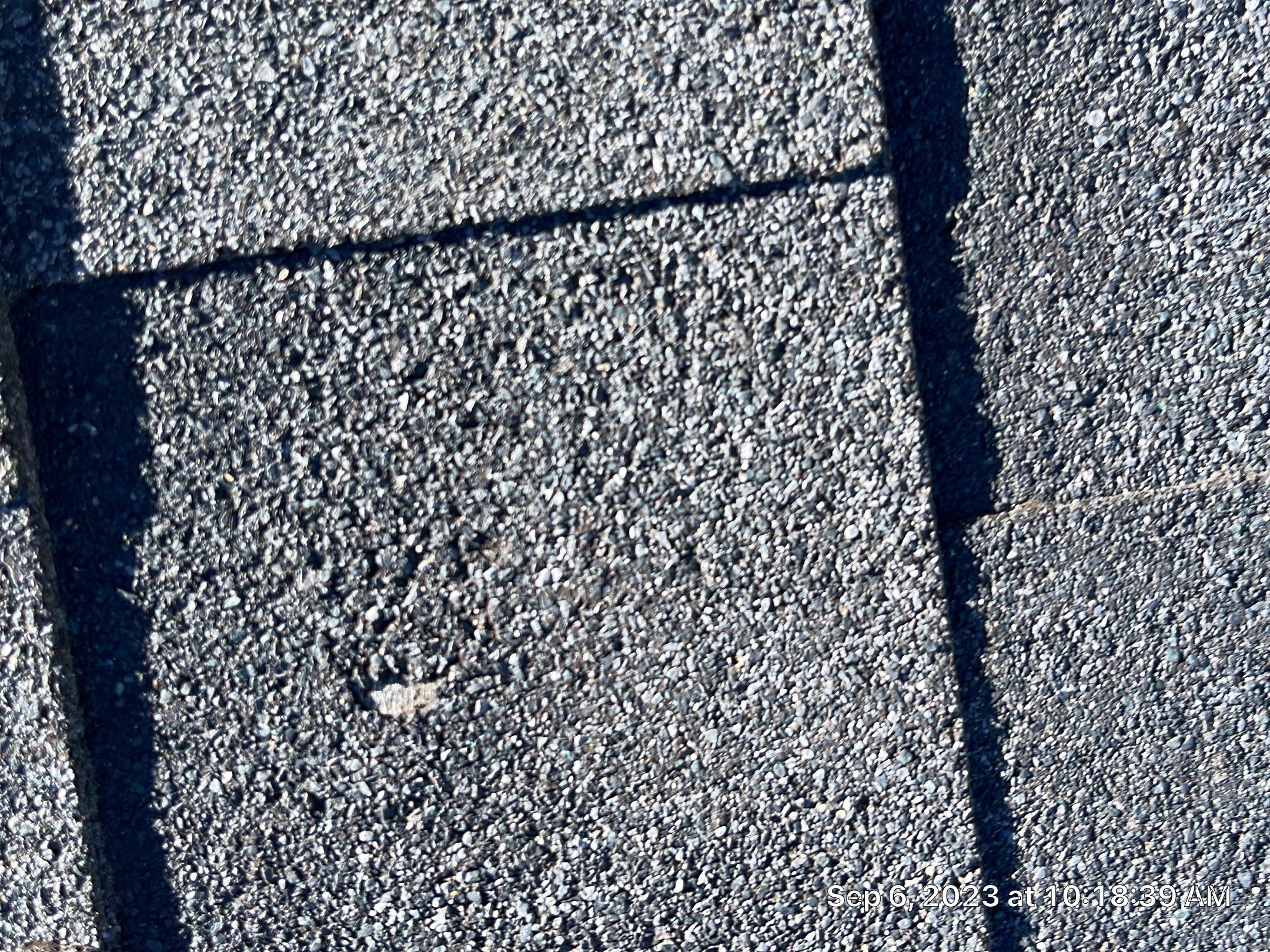 Residential Roofing Installation using Atlas Pinnacle Impact Black Shadow by Blue Peaks Roofing LLC 