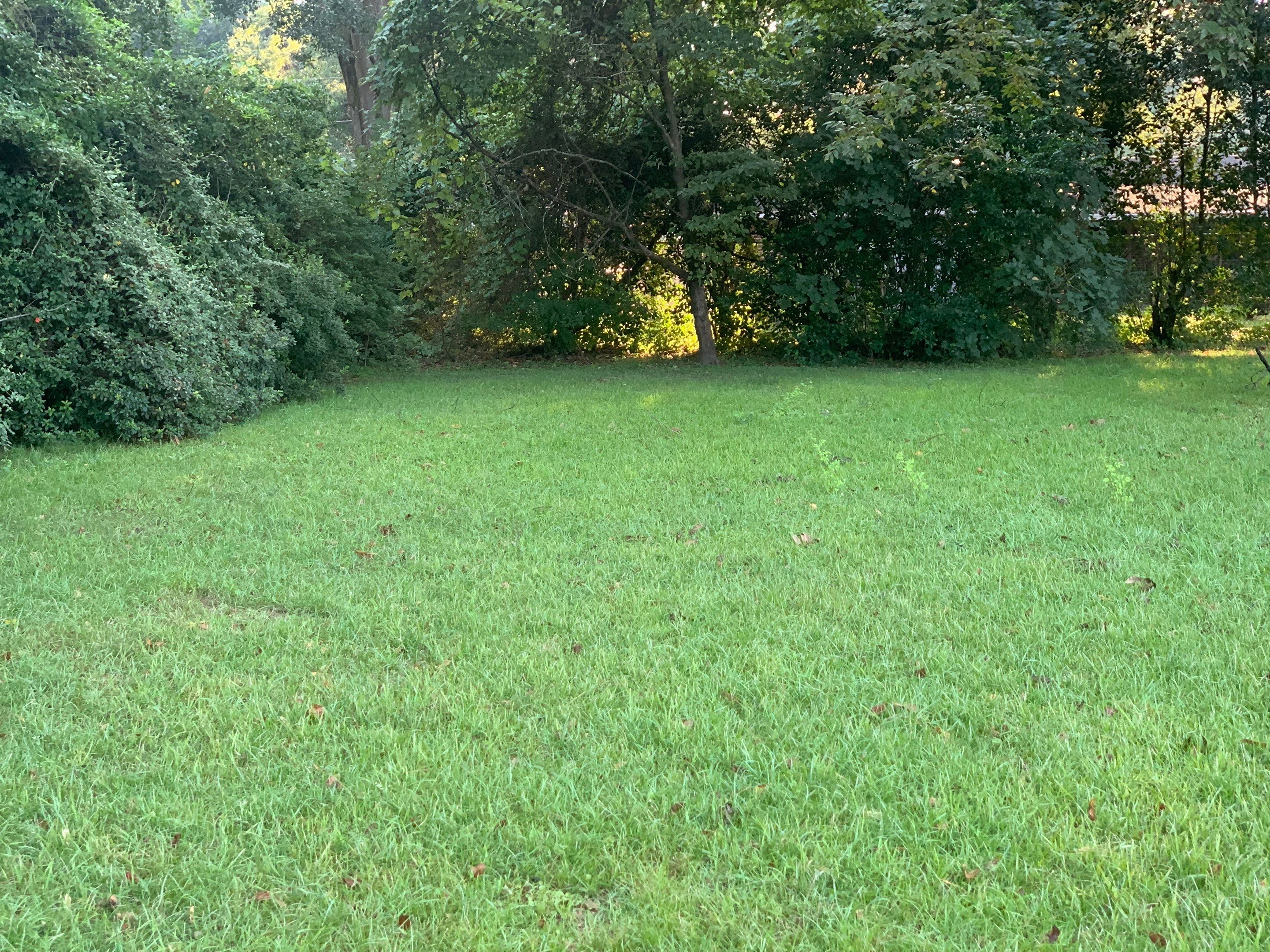 Yard Makeover by College Bros Outdoor services