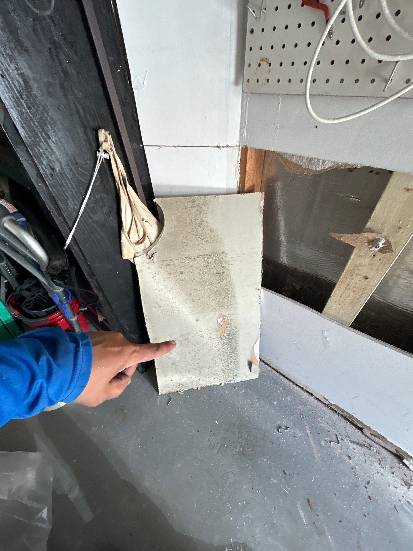 Mold Remediation + Reconstruction Bradenton by Ampm Restoration Services