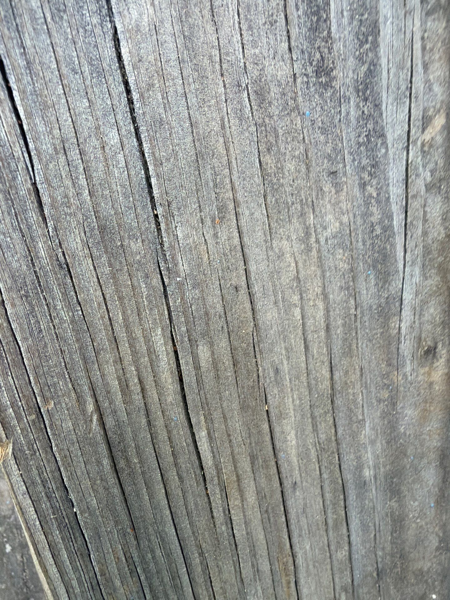 Deck using Wood Sealant by DuraSeal
