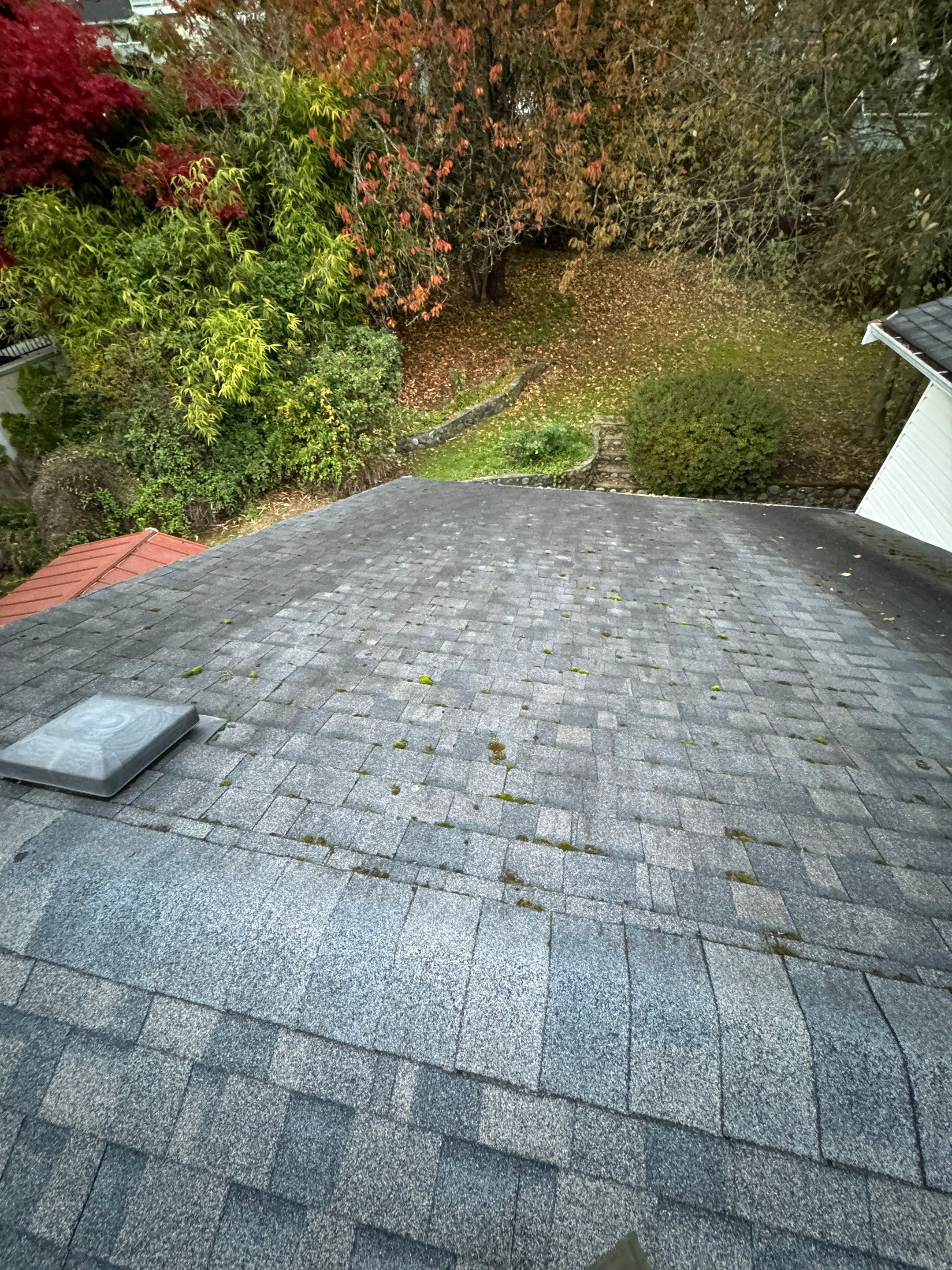 Roof cleaning by YVR Construction Group