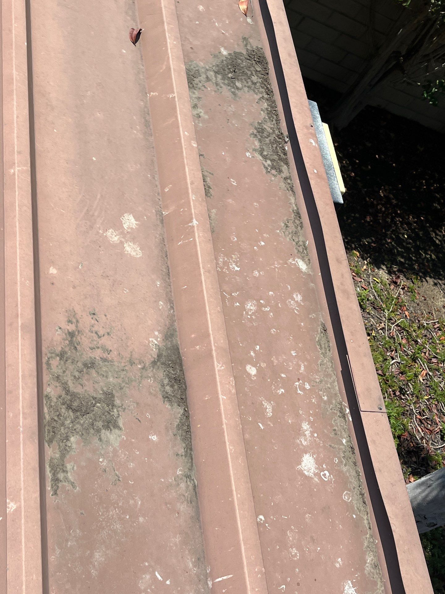 HOA gutter cleaning after photo.
