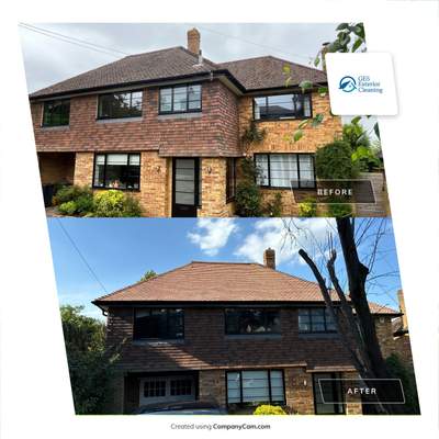Roof Clean  - Moss Removal - Gutter Clean using Honda 15lpm Low Pressure Washing Machine