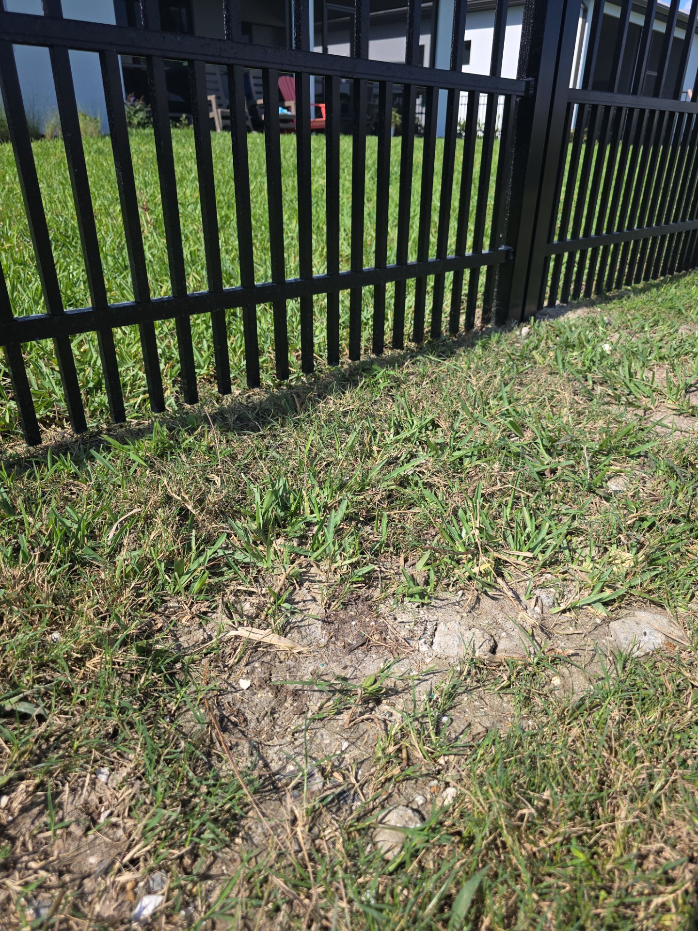 Puppy Picket Aluminum in Venice by True Fence LLC