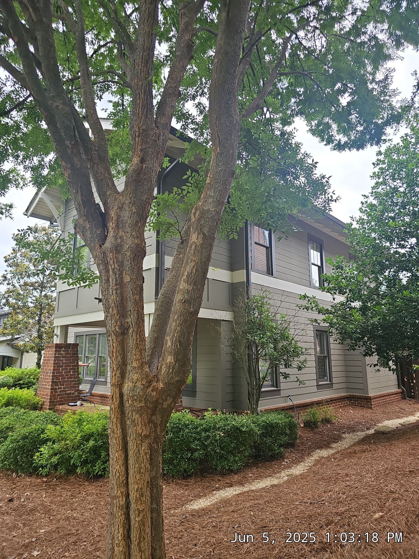 Mcglothlin Project in Hoover by The Window Source