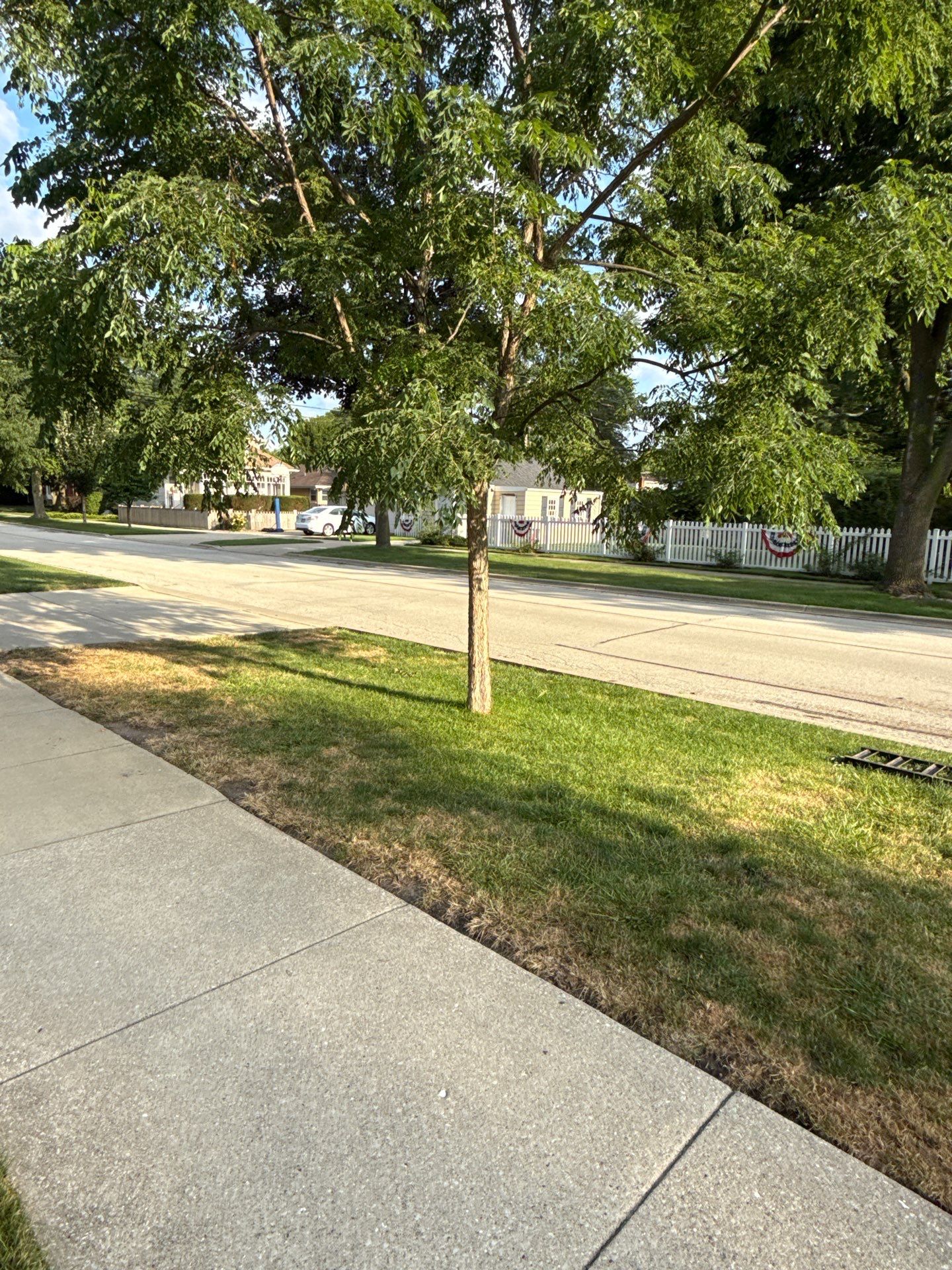 Chris S. - Mount Prospect, IL by A&N