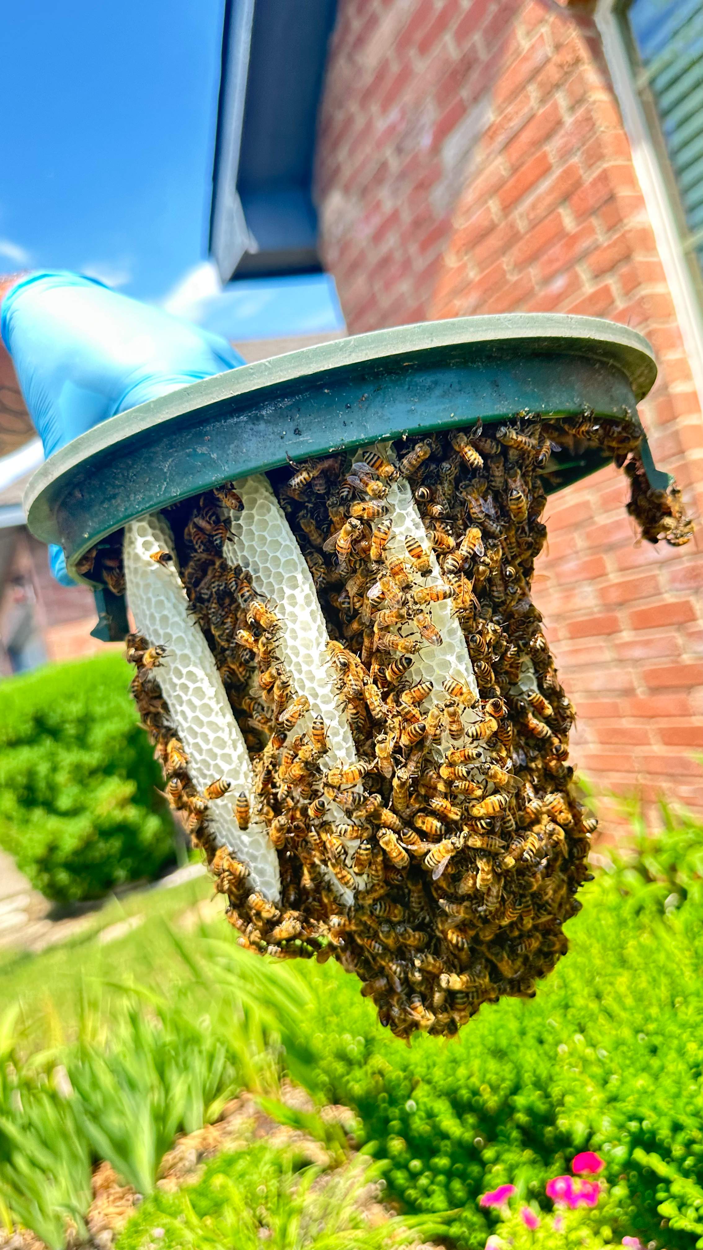 Irrigation Box by Rockwall Honey Bee Company