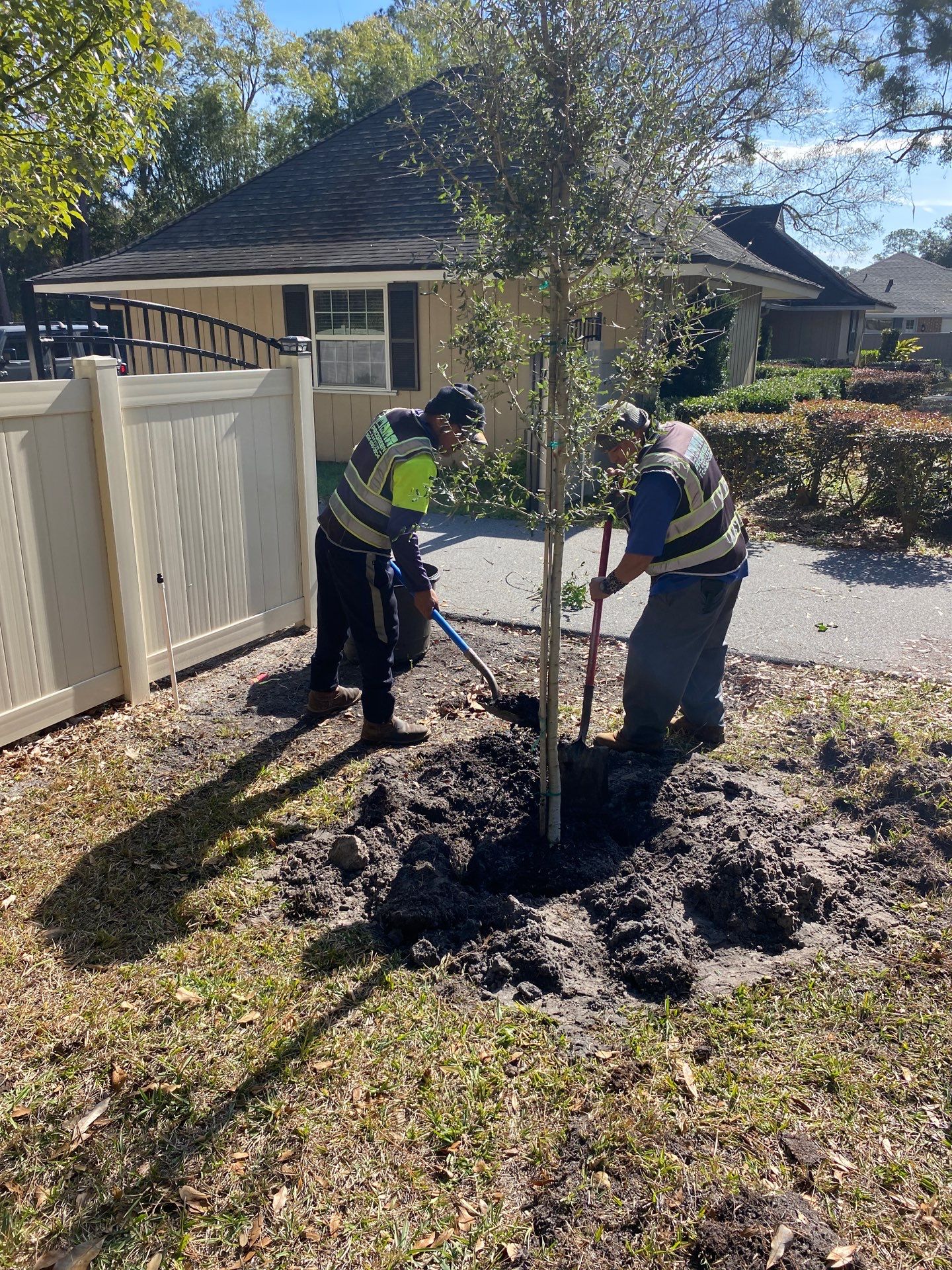 Deerwood Resident | Tree Installation by ProGreen Services