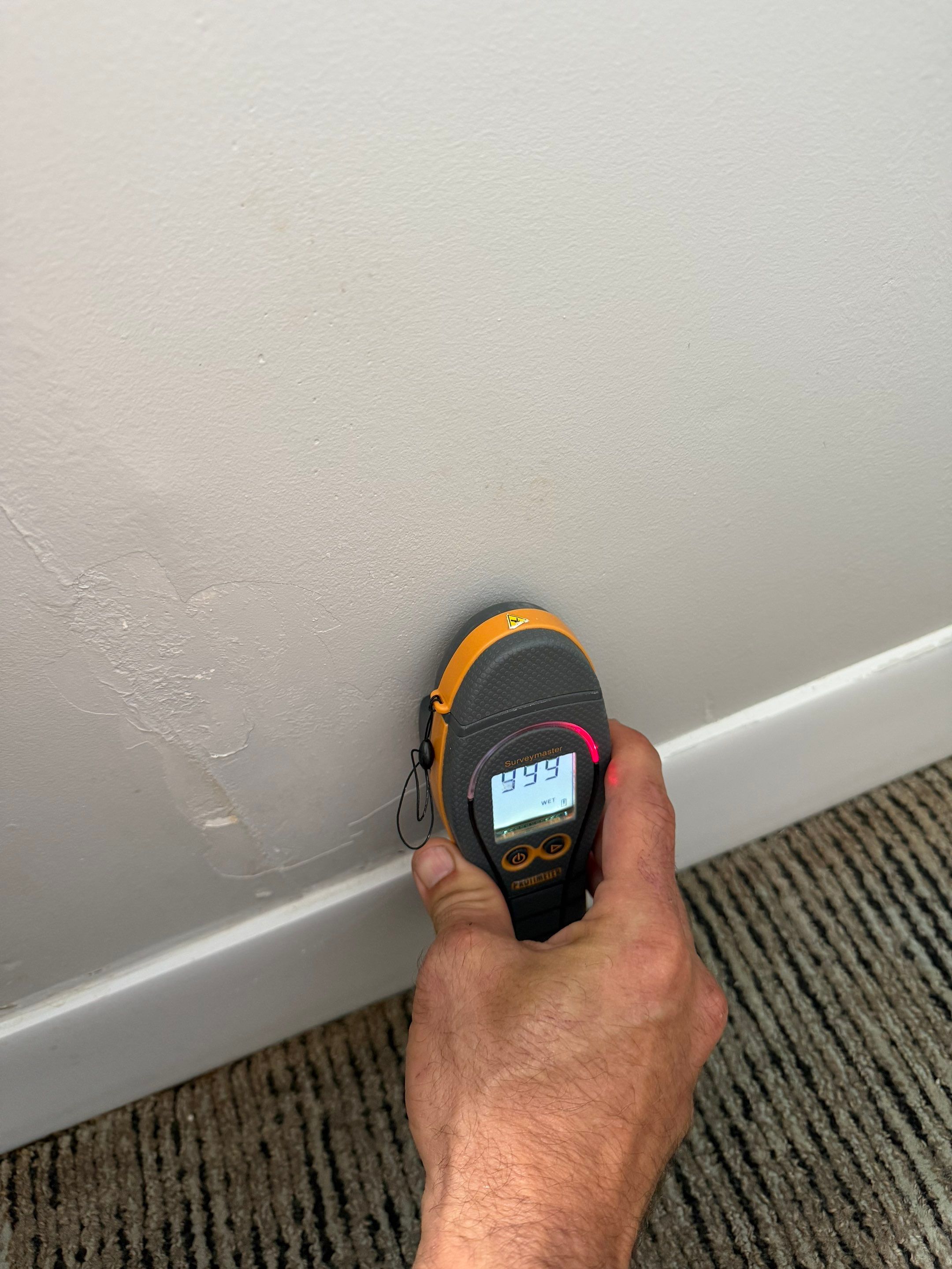 Project in Fort Myers, Florida by Leak Inspector