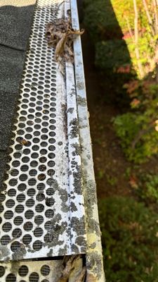 Turtle Shell gutter protection installation in Morris, IL 60450, photograph 20