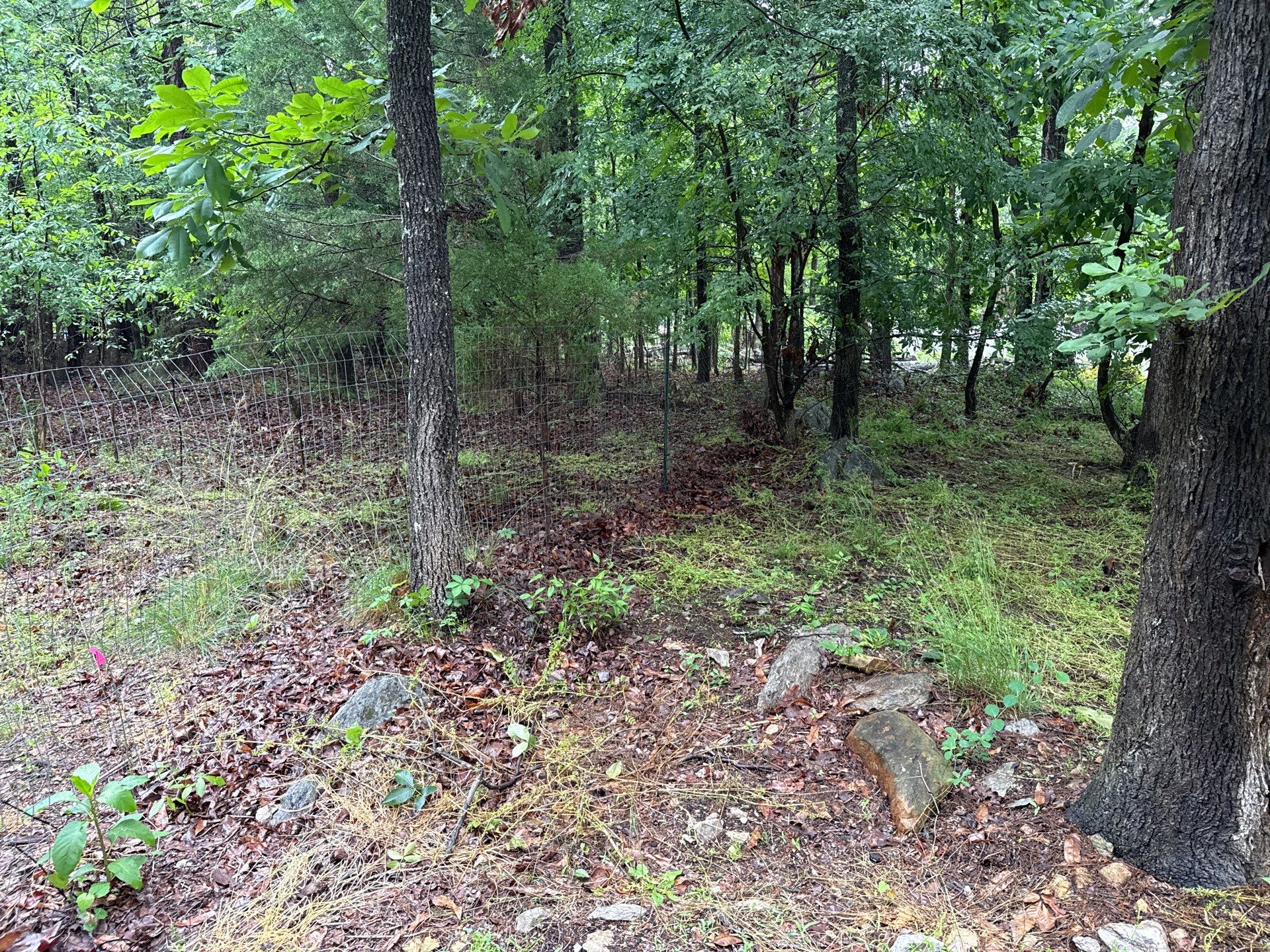 Project in Mint Hill by Badger Hauling