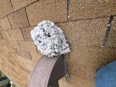 Air Duct Dryer Vent Cleaning Dryer Vent Repair in Minneola