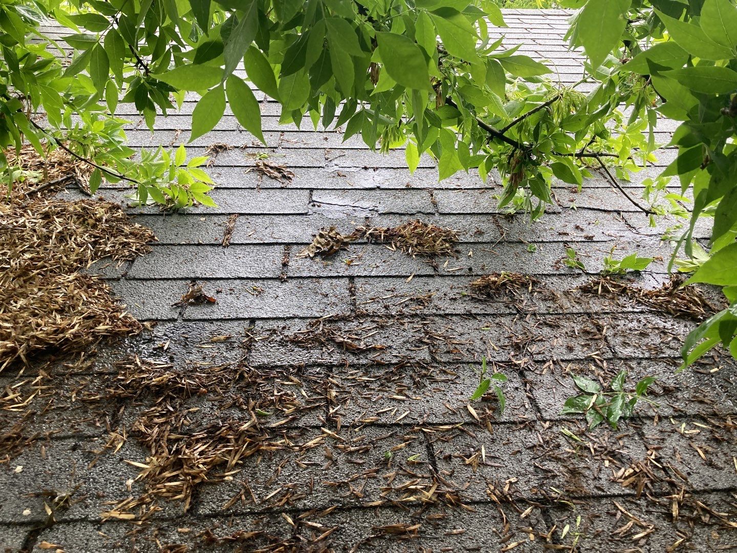 Boise Residential Roofing Installation using Owens Corning by ID Roofing LLC