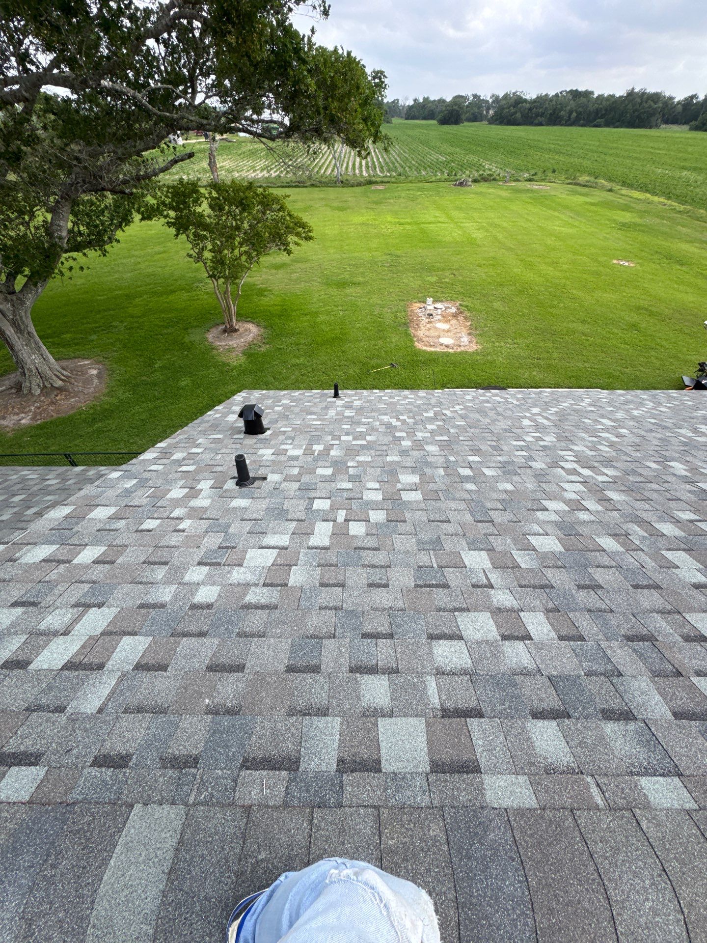 Roof Replacement louise by Roof Repair Company