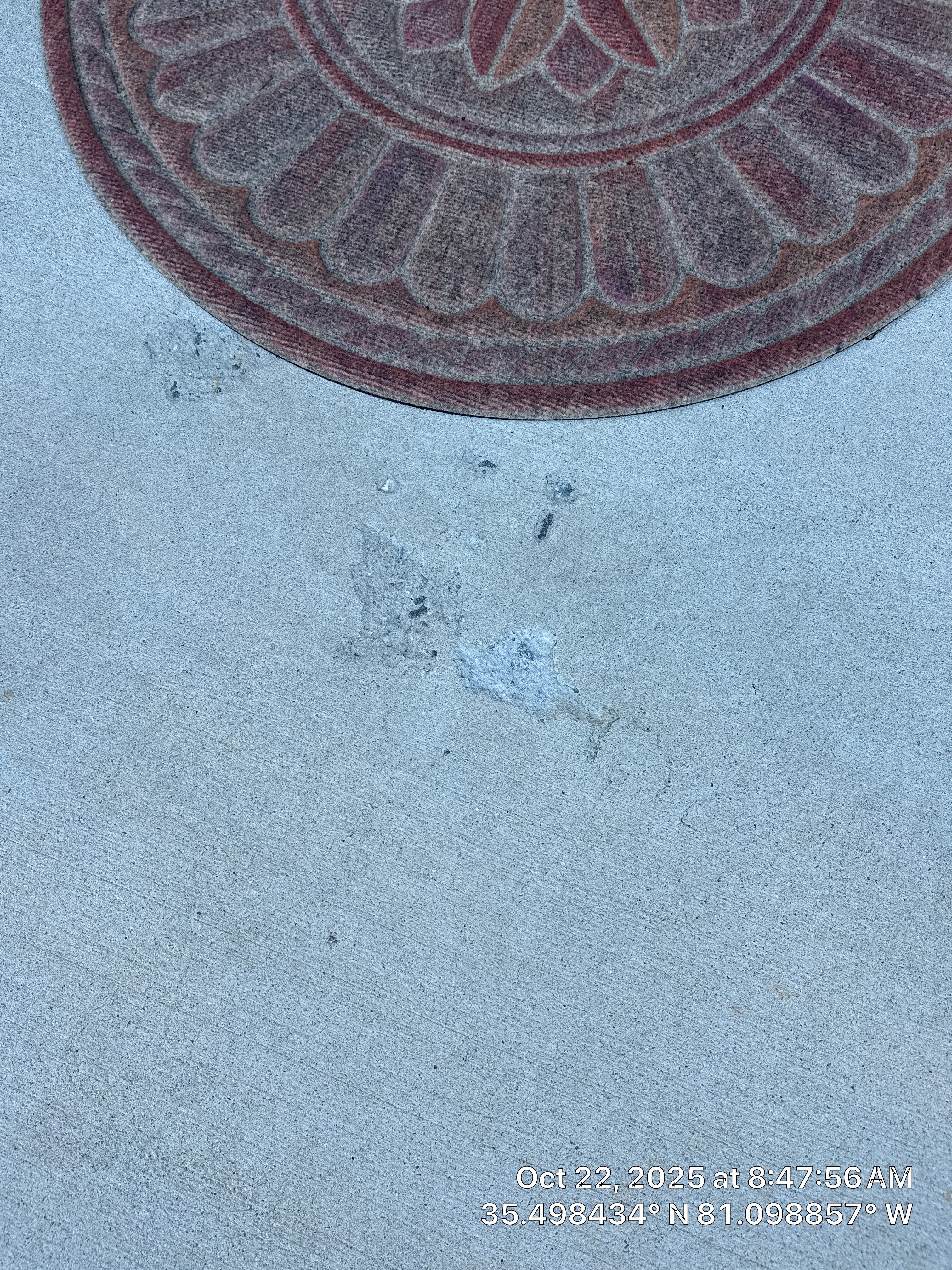 Parks Family Back Patio by Endure Concrete Coatings