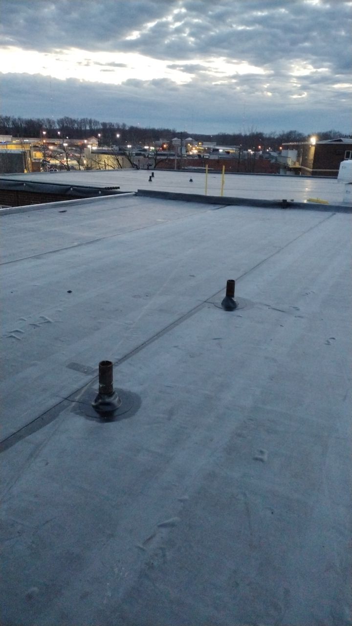 Commercial flat roof parma by Absolute Roofing and Construction