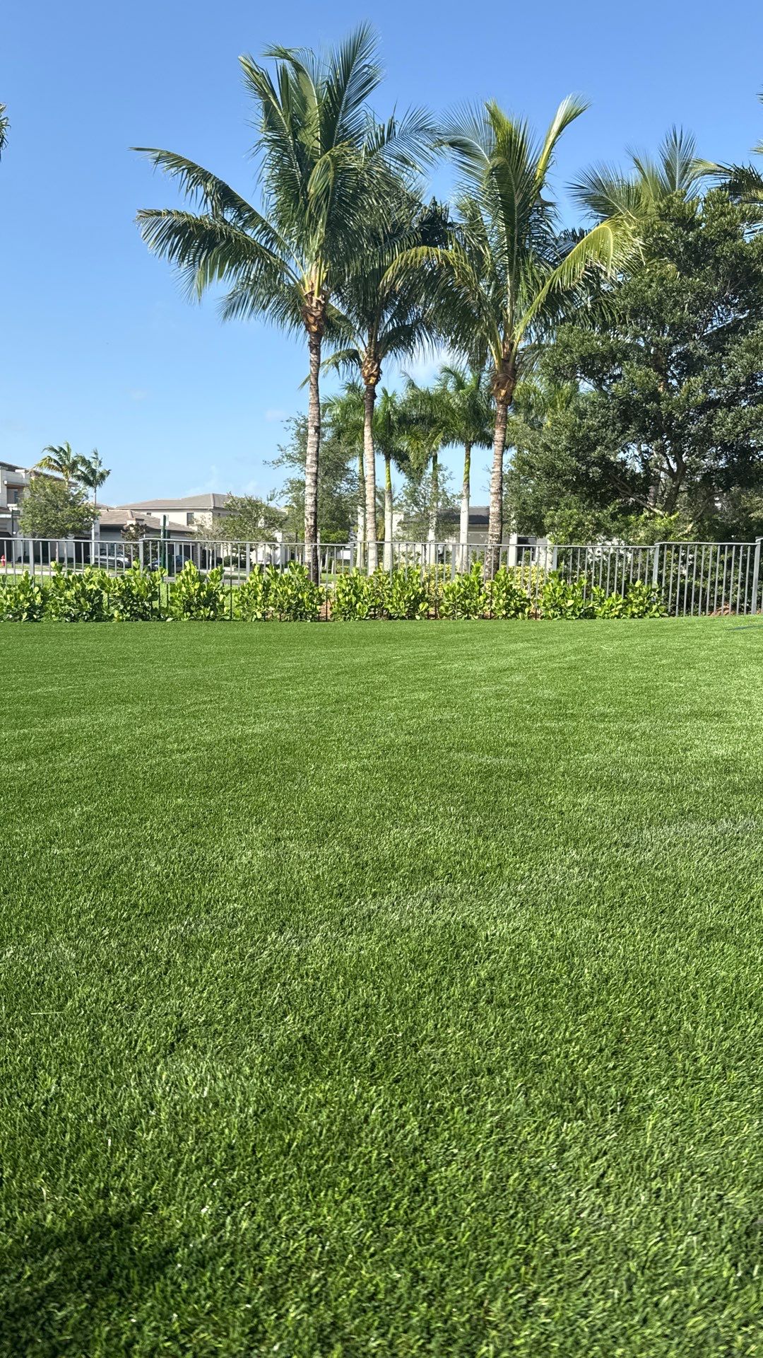 Project in Parkland by Green Image Landscaping & Tree Service