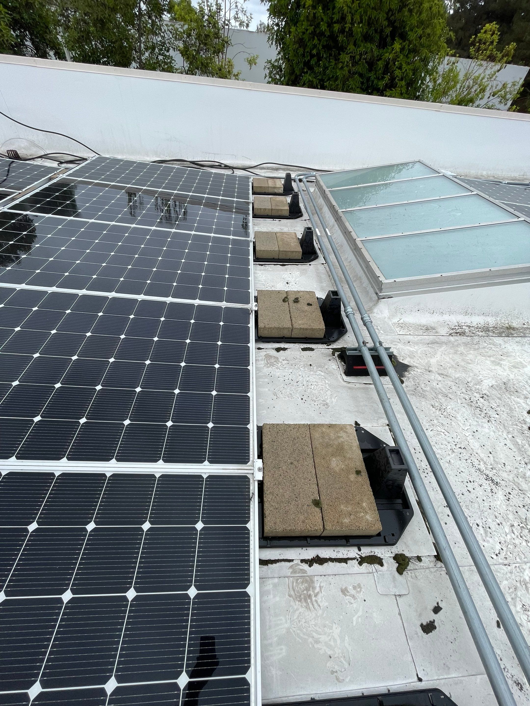 Commercial Solar Cleaning by Palm Coast Solar Cleaning