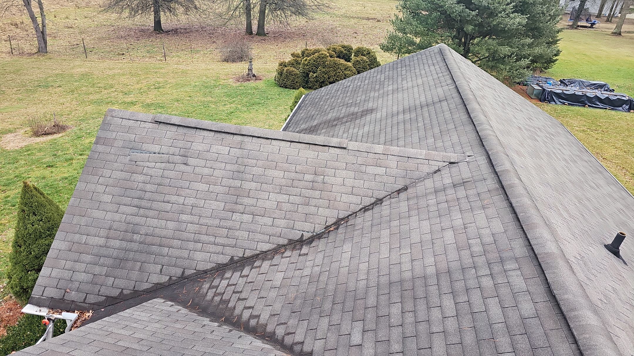 Alpha Rib, Color: Forest Green by Eagle Eye Roofing