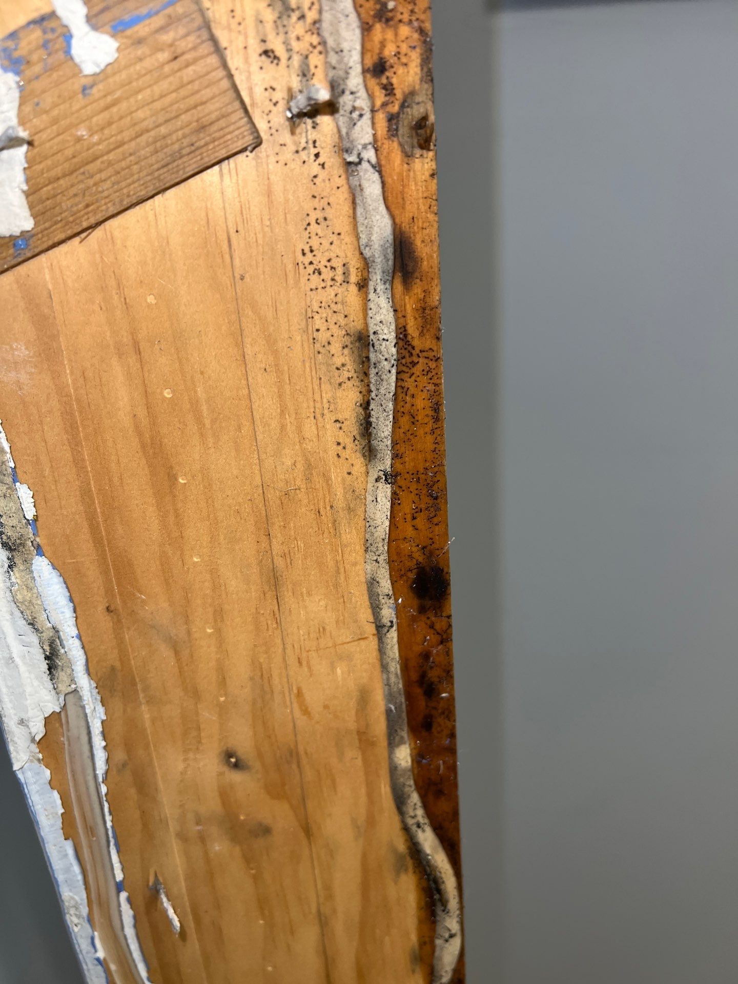 Emergency Water Mitigation & Structural Cavity Drying in Wilmington by Right On Time Restoration