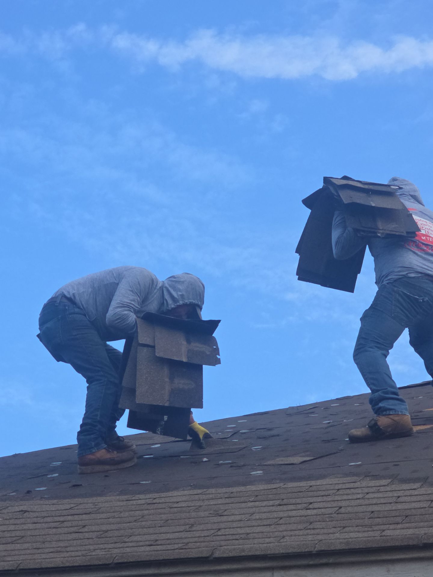 Miss Bridgette by REPS Austin Area Roofer
