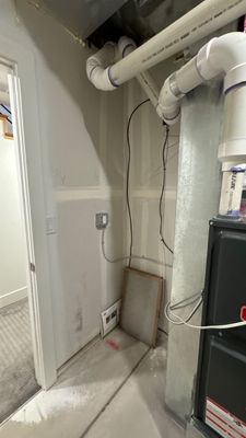 Mold Damage Project in Denver