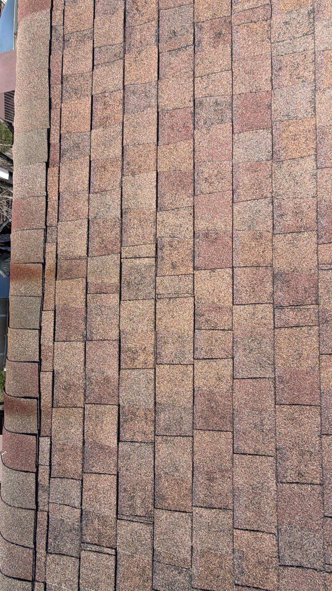 Blakc Oak Vista roof  by Pro Home Services Inc