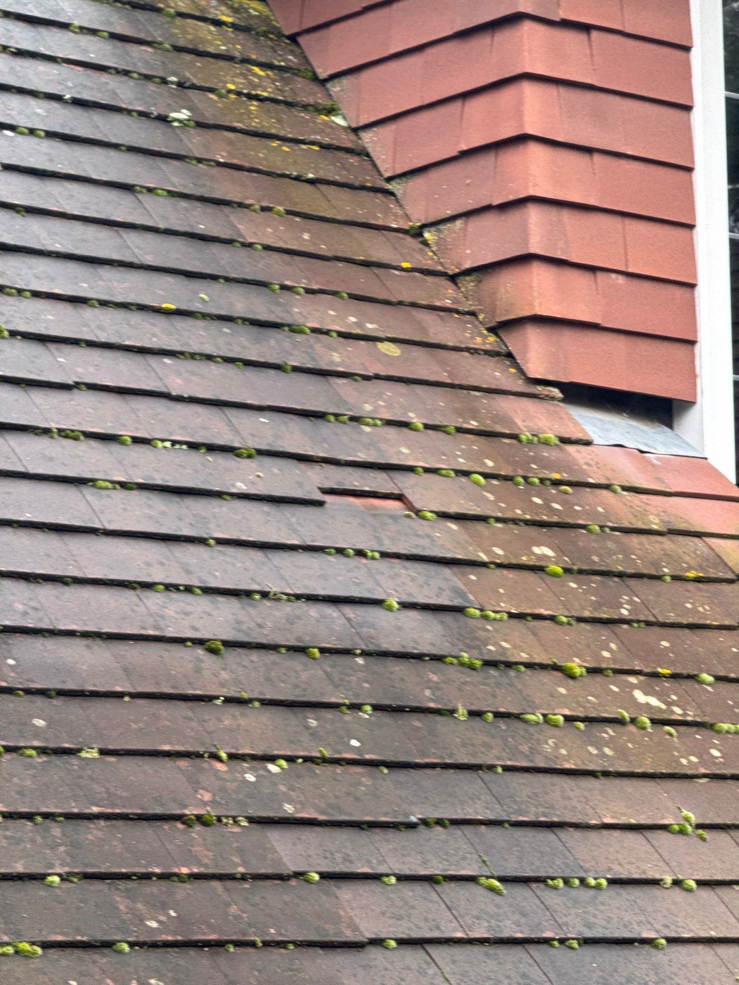 Roof - Driveway - Patio Clean using 18inch Whirlaway FSC by Ges Exterior Cleaning ltd