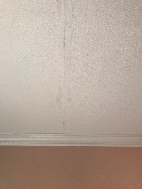 Project in New Haven by EzDry Water Mitigation & Property Restoration