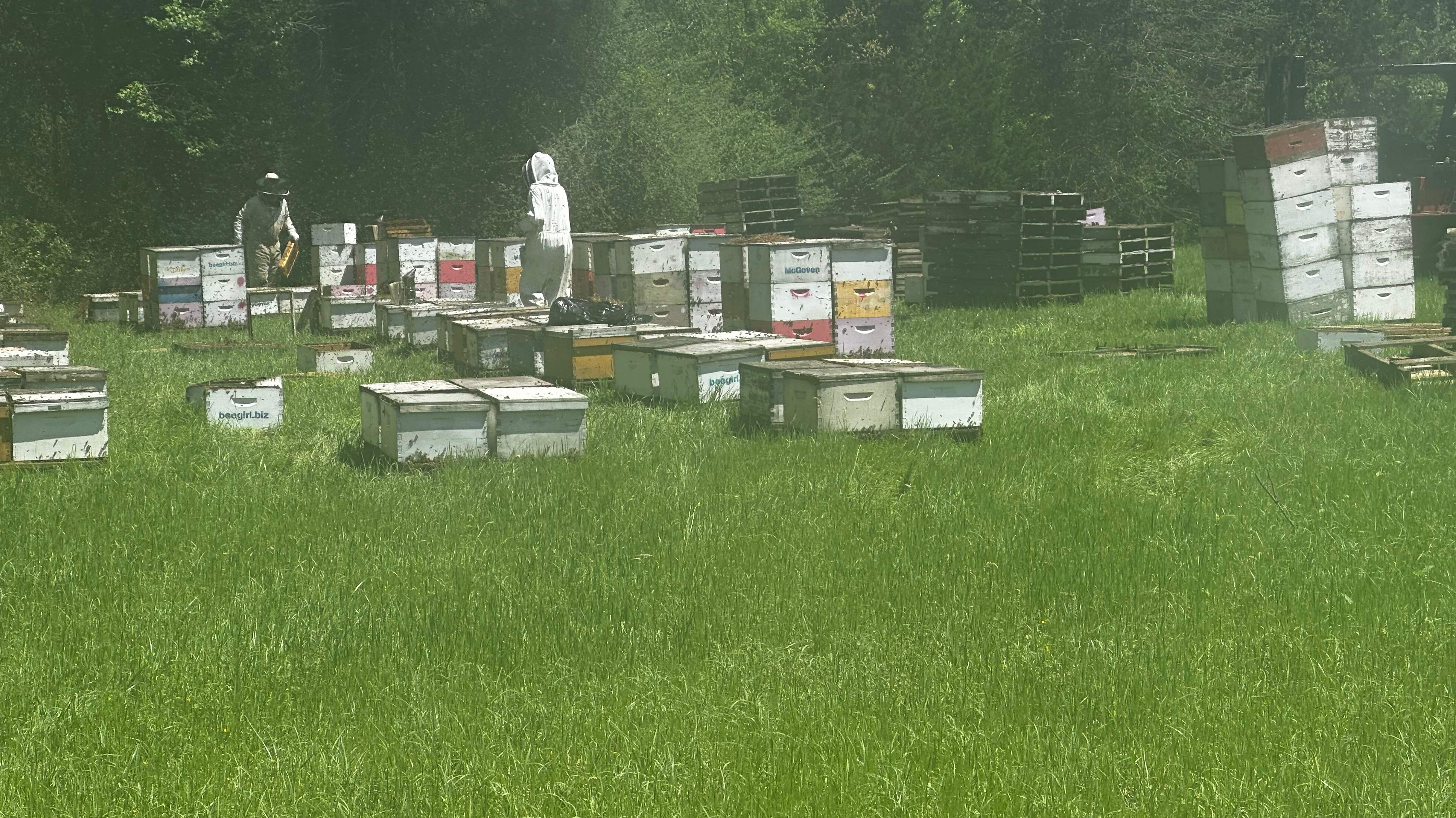 Traylor's Hay Meadow Apiary by Rockwall Honey Bee Company
