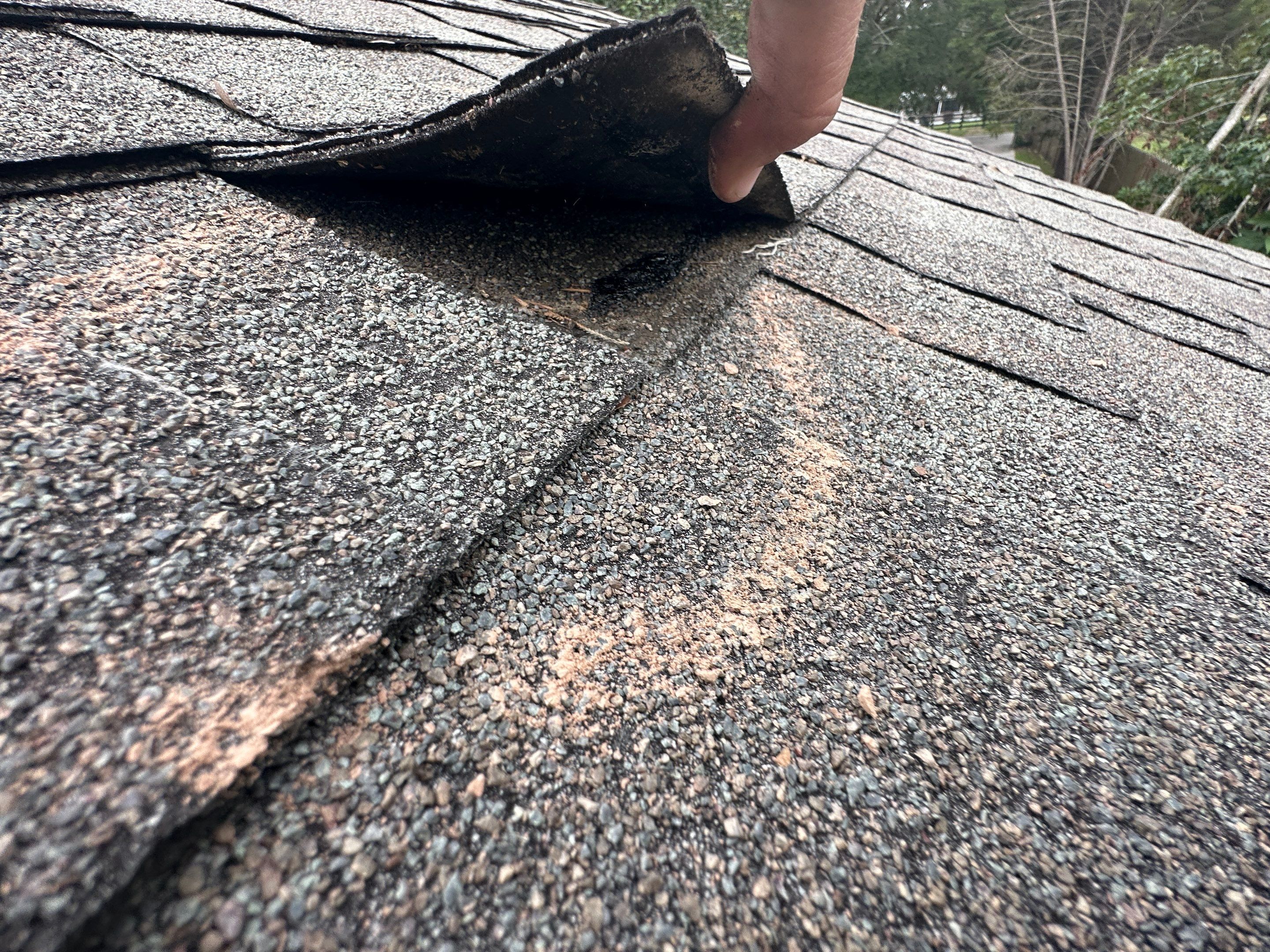 Roof Damage Claim in Pinetta by FLAPA & KeyStone