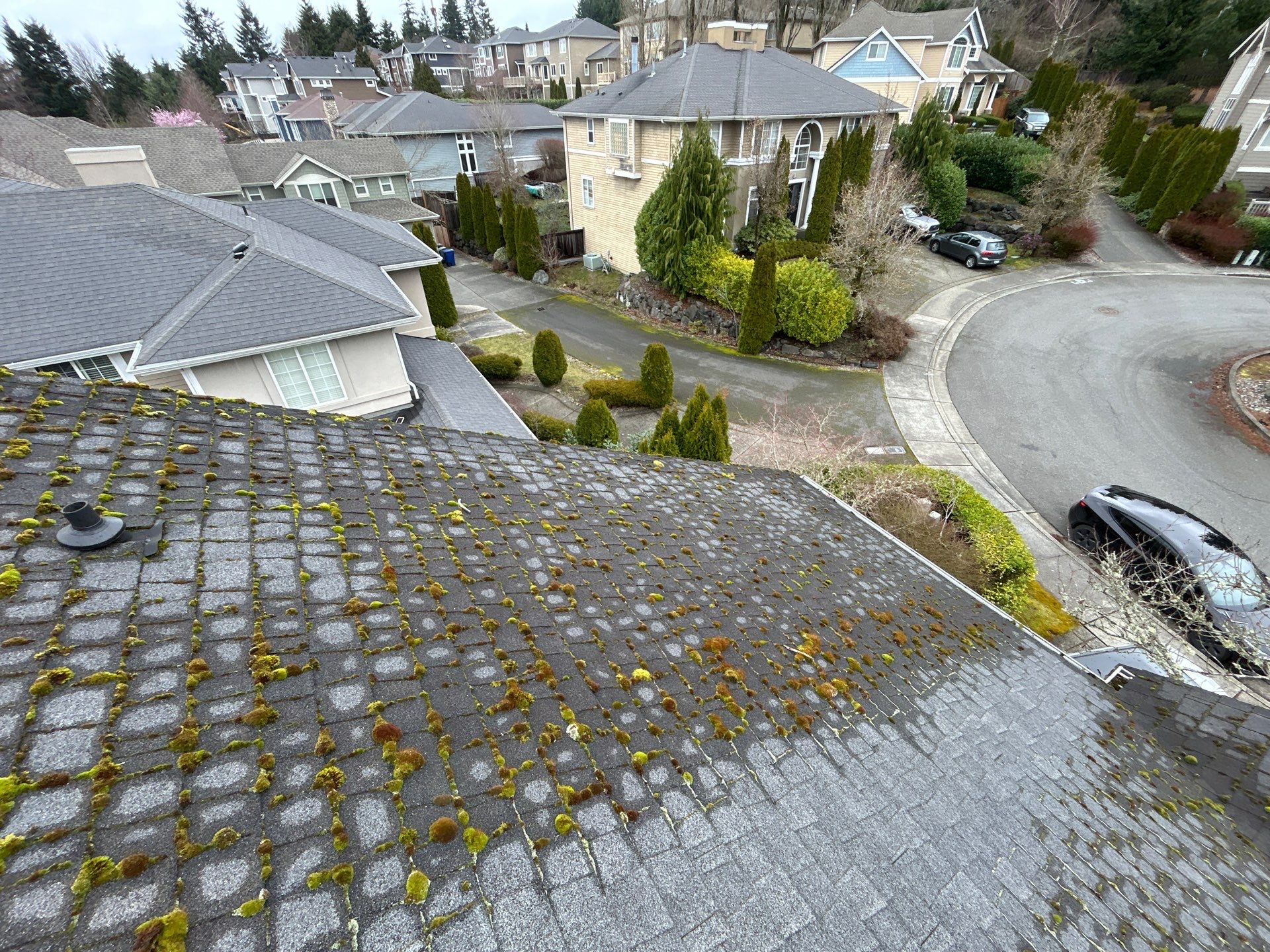 Project in Bellevue by Peaks and Valleys Construction
