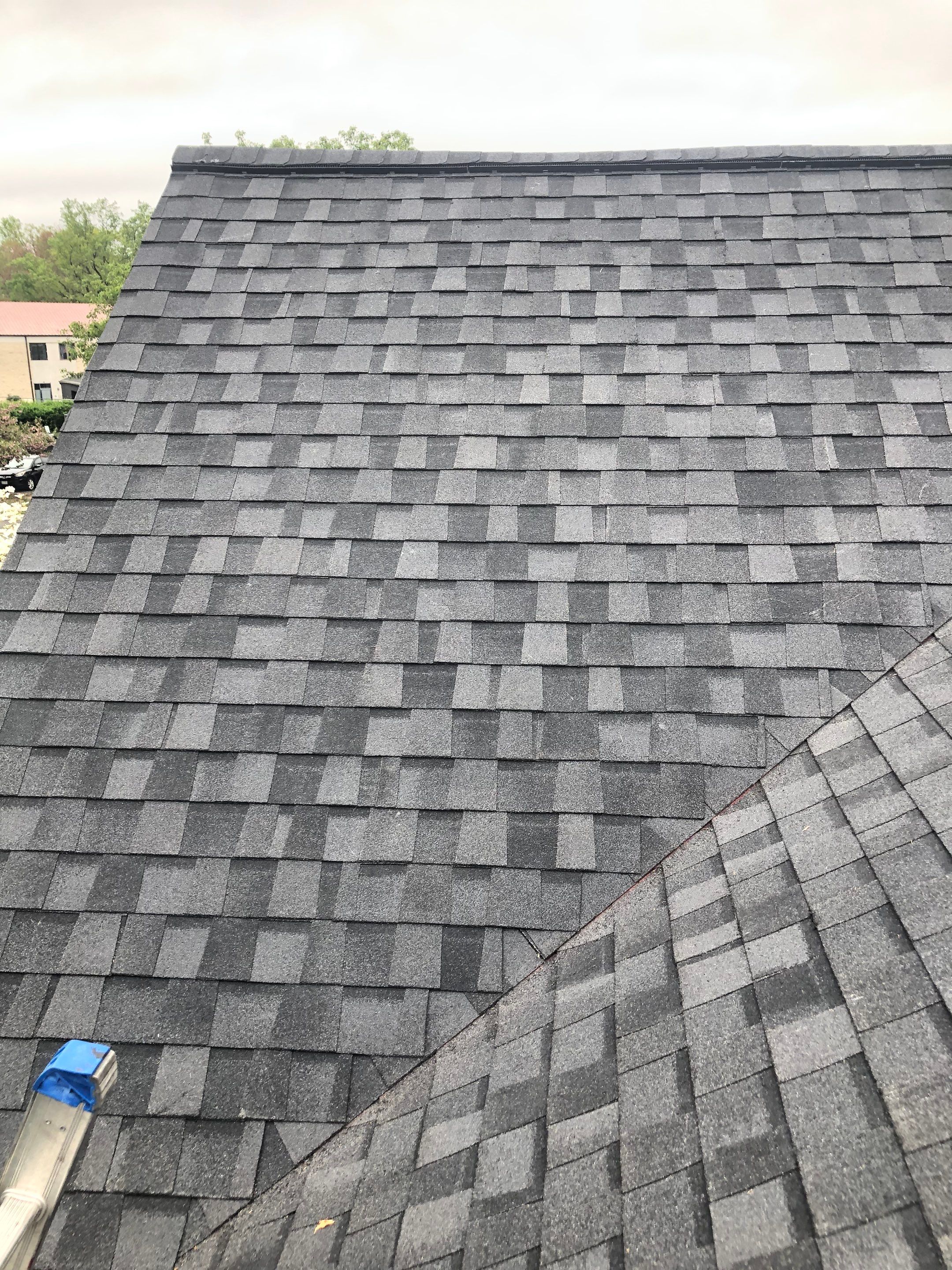 Vienna: CertainTeed Landmark Pro Designer Shingles in Max Def Moire Black by RM Banning, Inc.