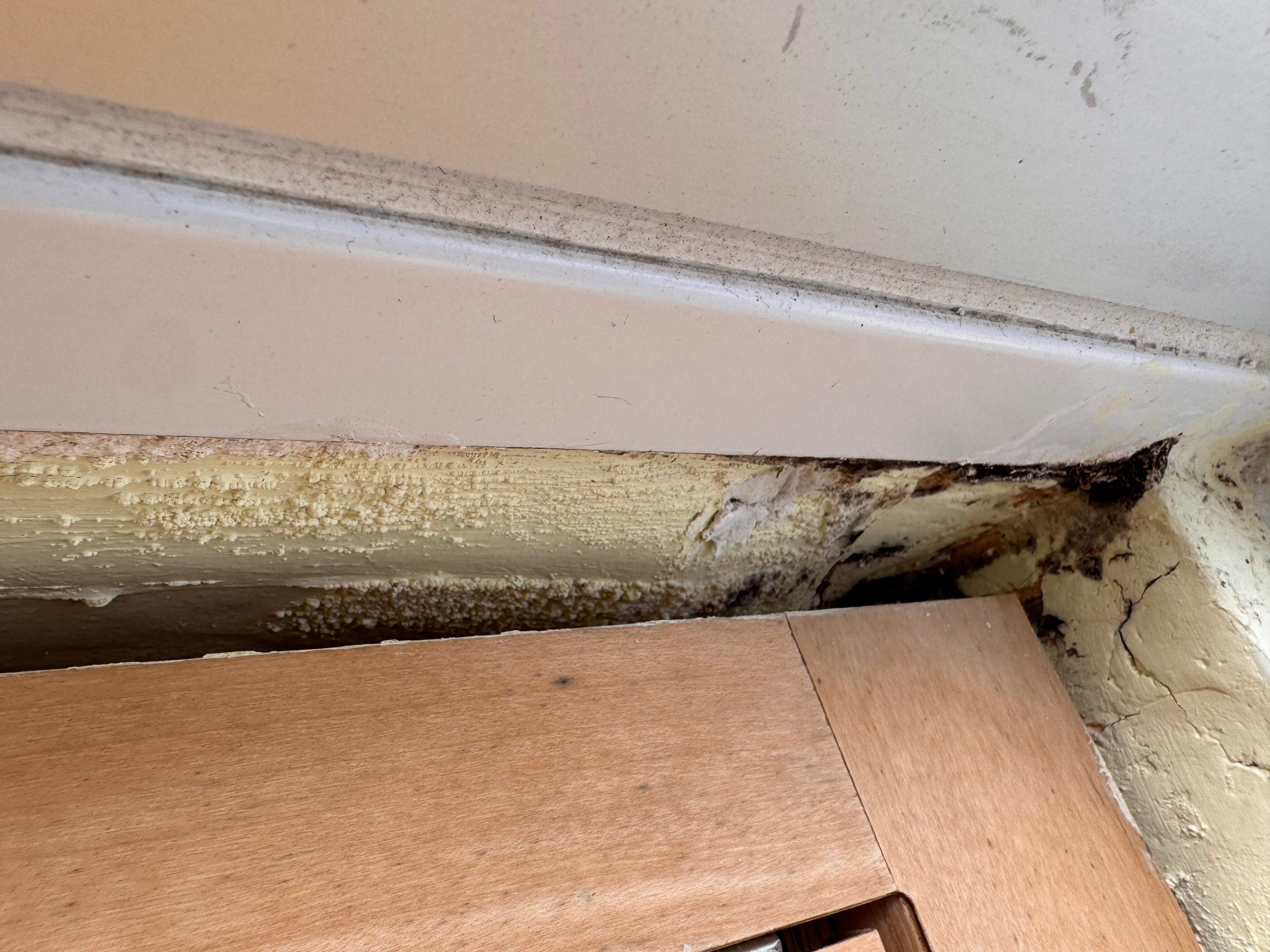 Water Damage Claim in Sarasota by FLAPA & KeyStone