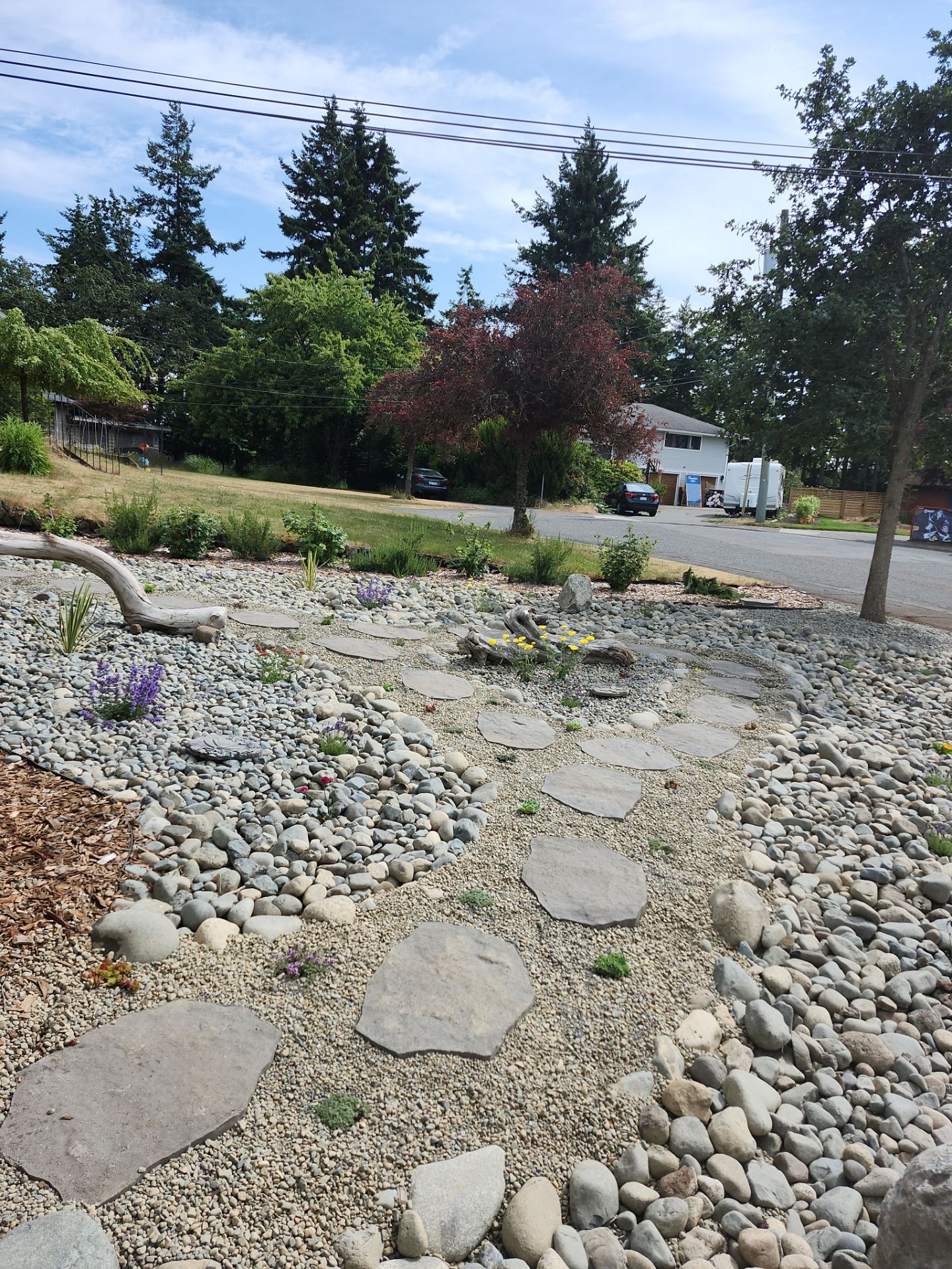 Front Yard Ecological Conversion – A West Coast-Inspired Low-Maintenance Oasis by Habanero Garden and Exterior Care