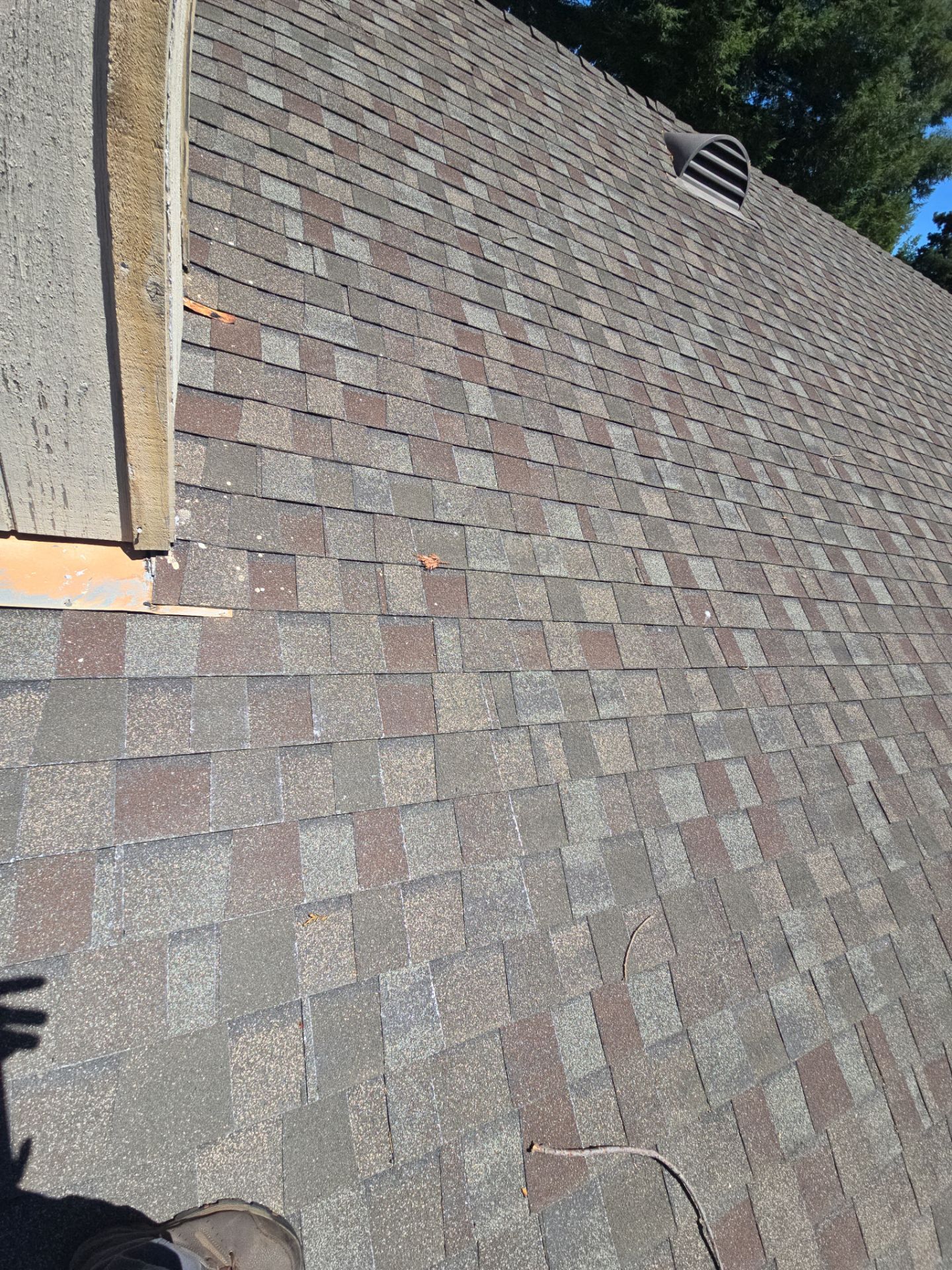 Roof Rejuvenation using Roof Maxx Treatment by Roof Maxx of Folsom