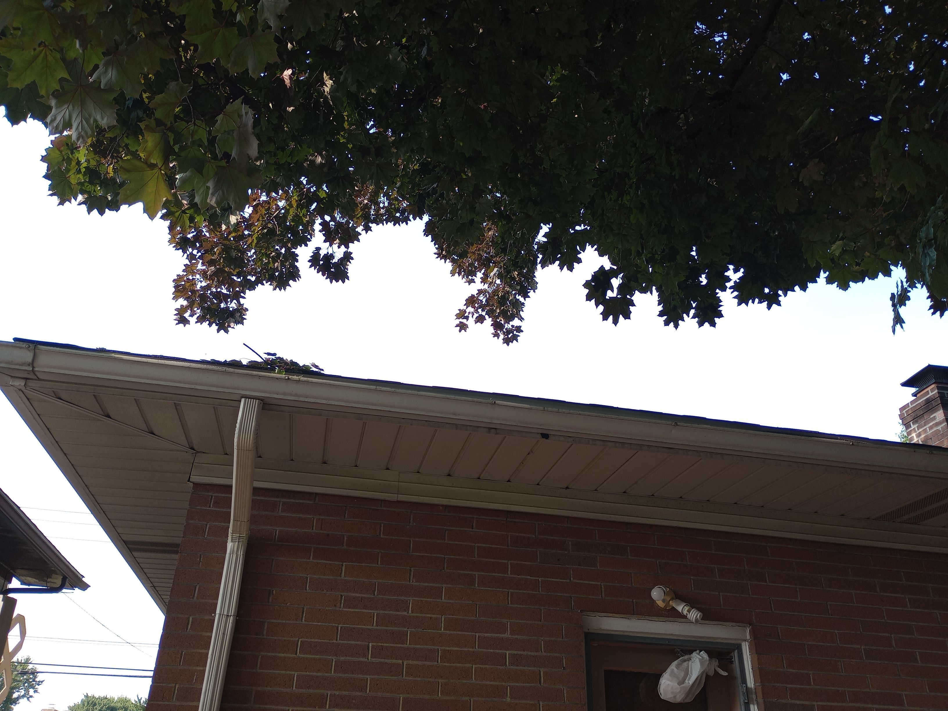 Mark Williams by Silver Leaf Contracting 