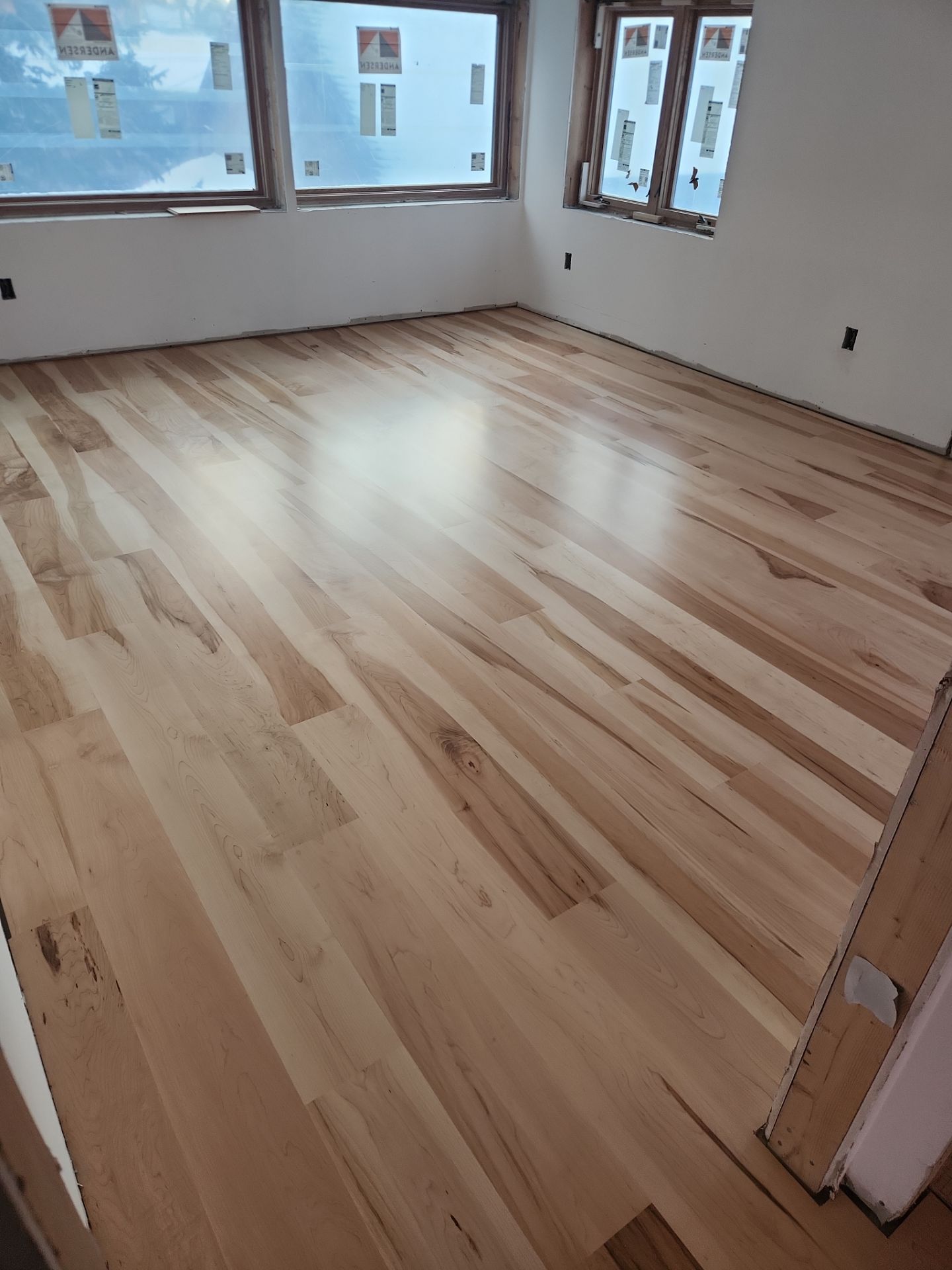 Full glue down Installation over radiant heat 7" Maple character grade by Ann Arbor Hardwoods 