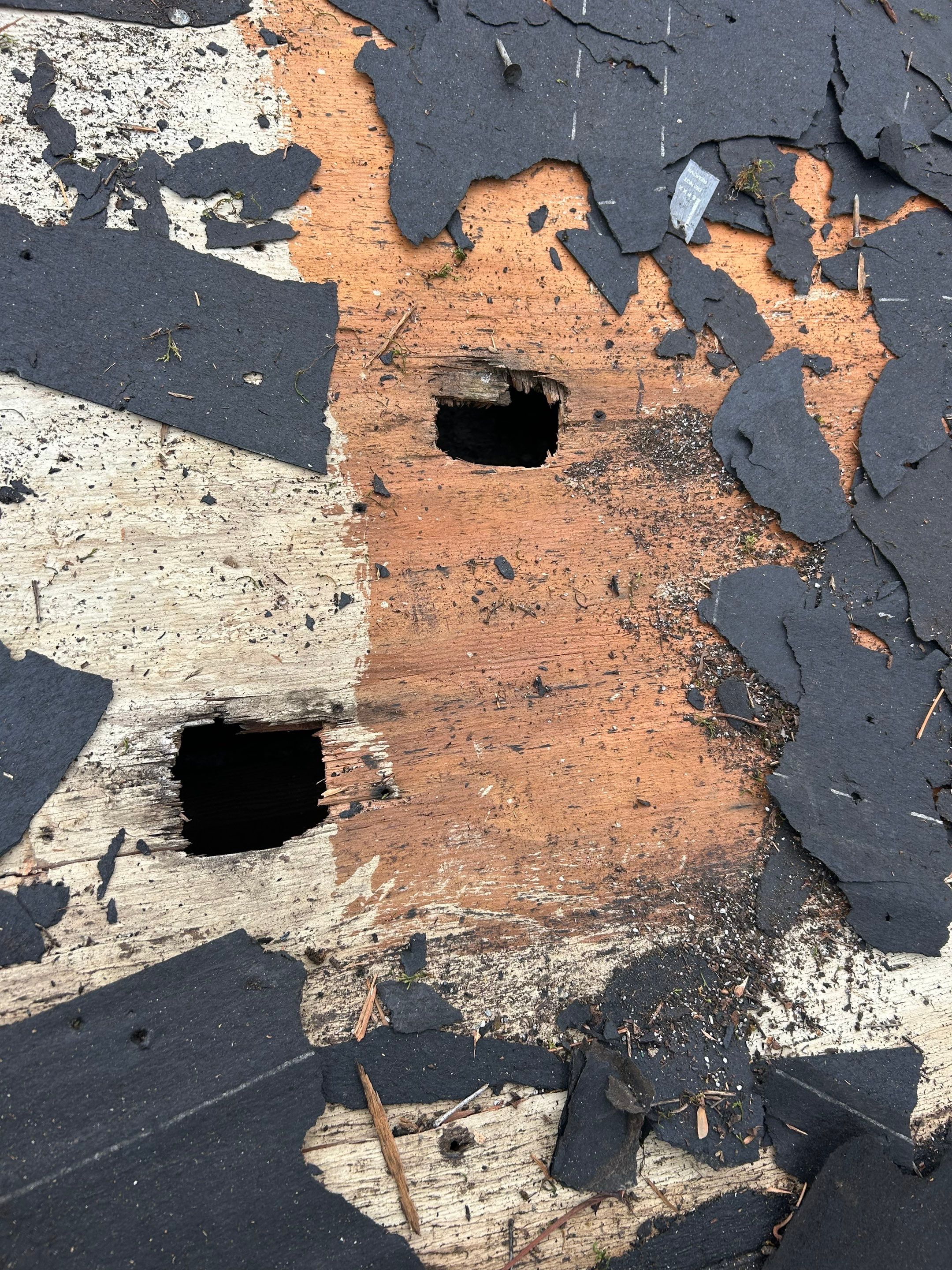 Arlington :Residential Roof Replacement with CertainTeed Landmark Pro in Max Def Red Oak  by RM Banning, Inc.