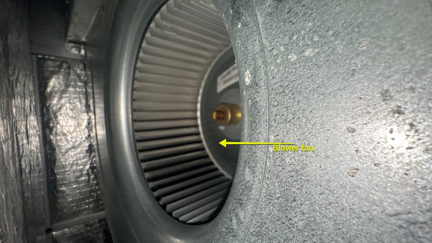 Air Duct Cleaning in Clermont by Hygienic Air, Inc
