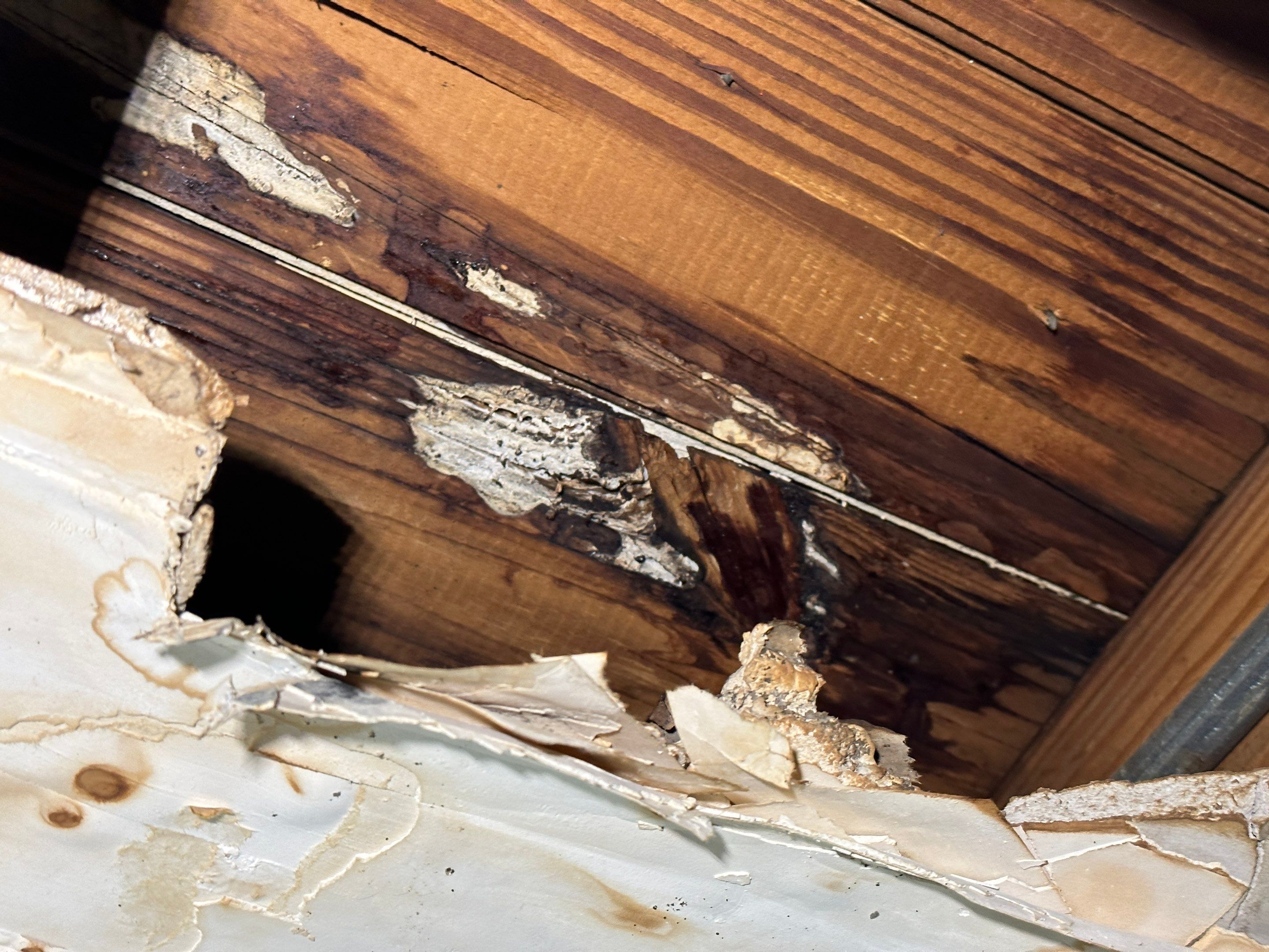 Water Damage Claim in Fort Lauderdale by FLAPA & KeyStone