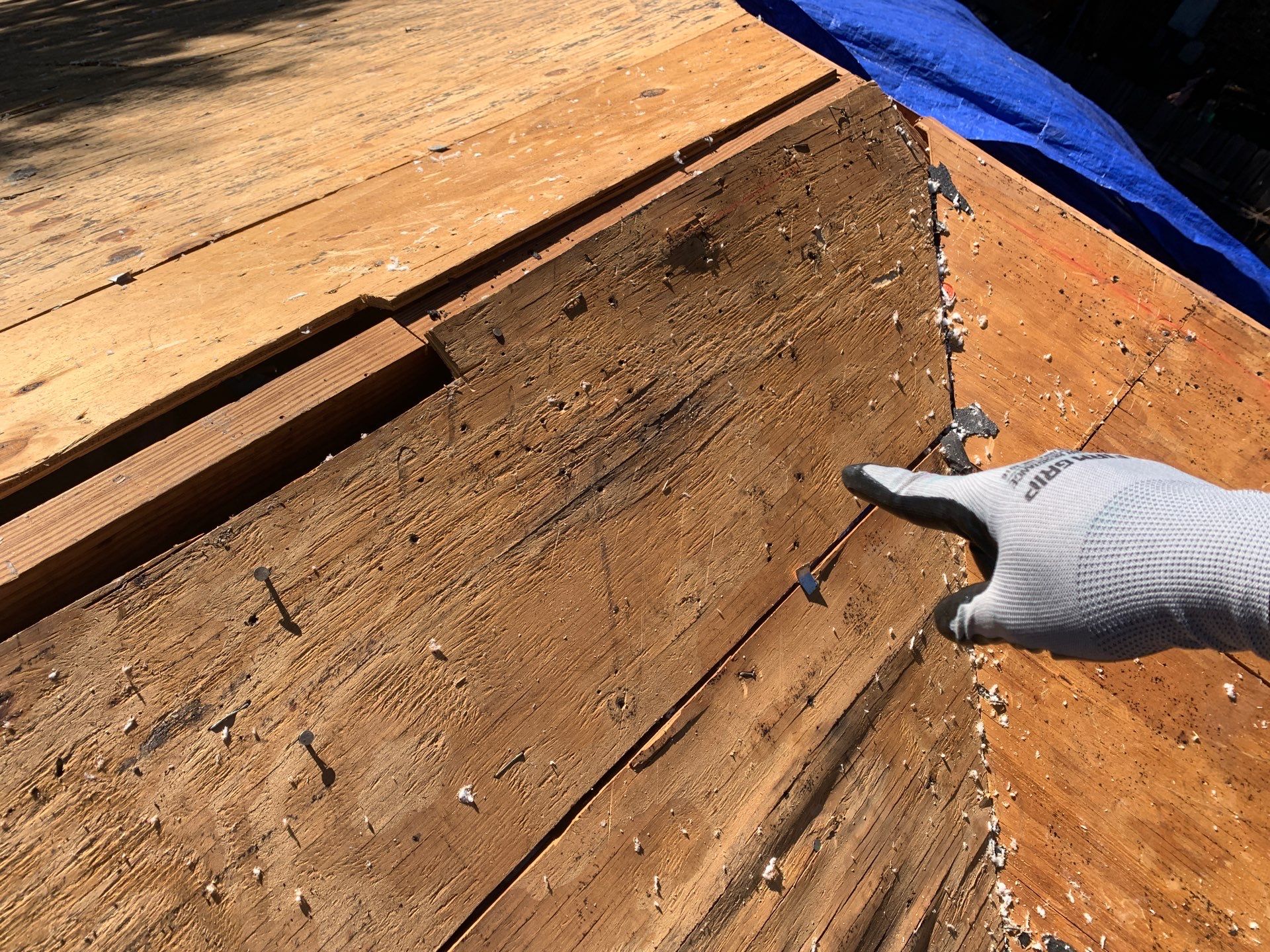 Comprehensive Hail Damage Restoration and Shingle Roof Replacement in Austin by Caliber Restoration LLC